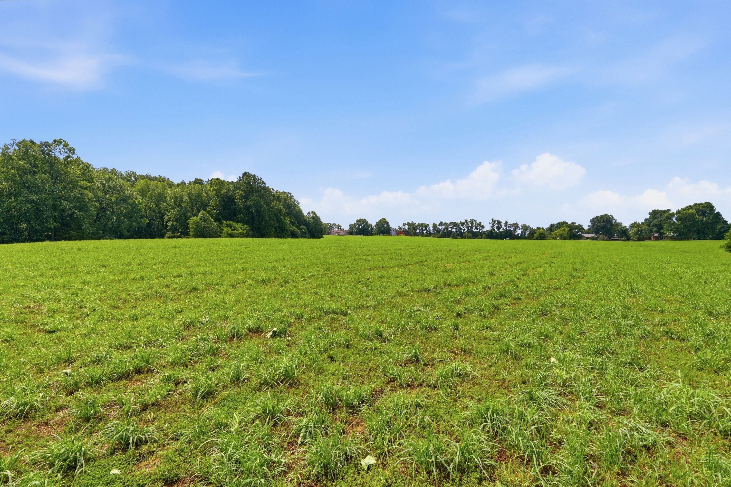  3850 Smith Lane, La Grange, KY 40031 - 物件實景