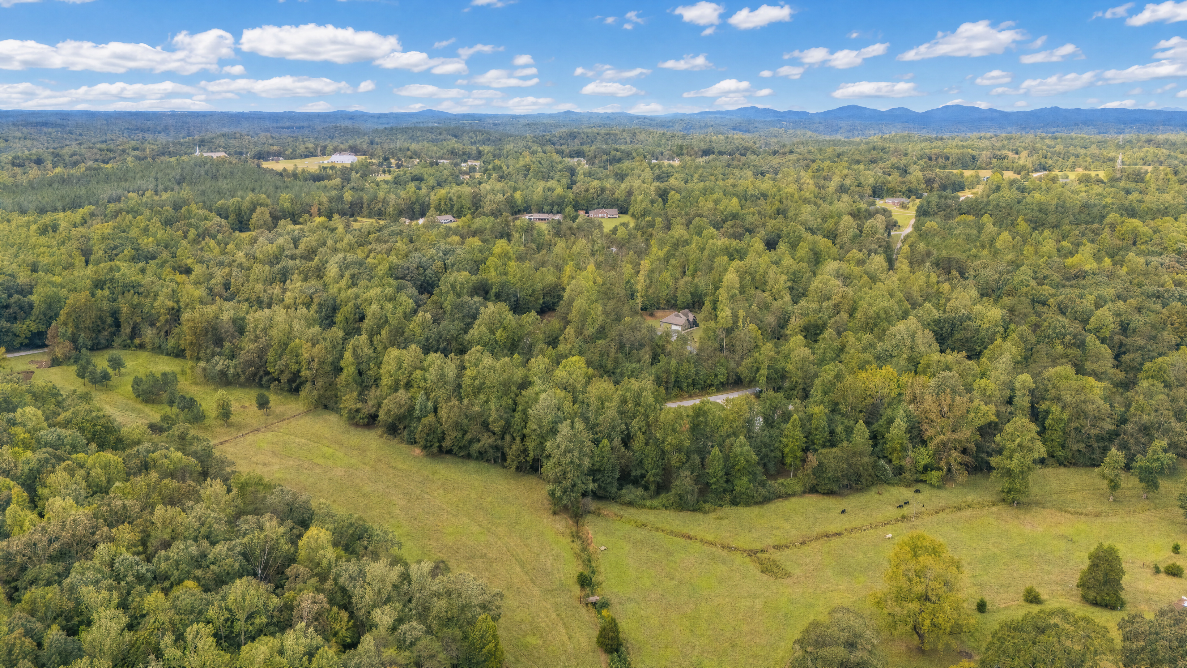  40 McCarrell Road, Travelers Rest, SC 29690 - 物件實景