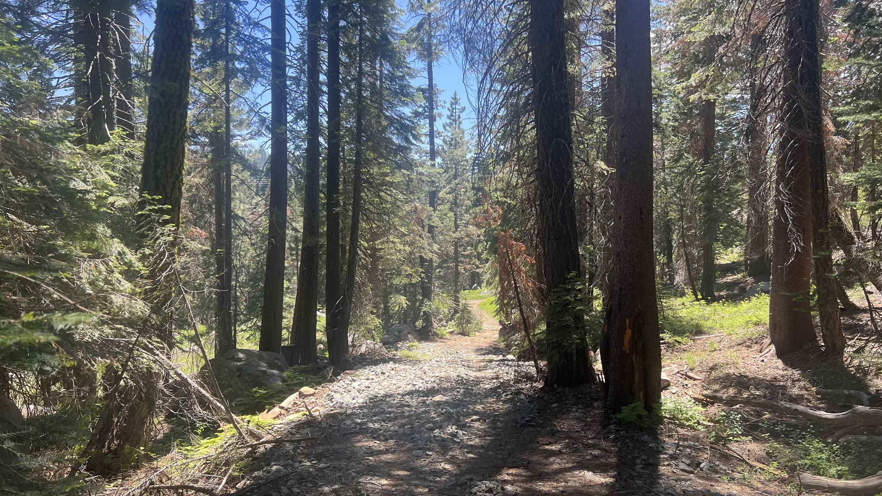 Soda Springs, California, 95728, United States, ,Land,For Sale,1998157