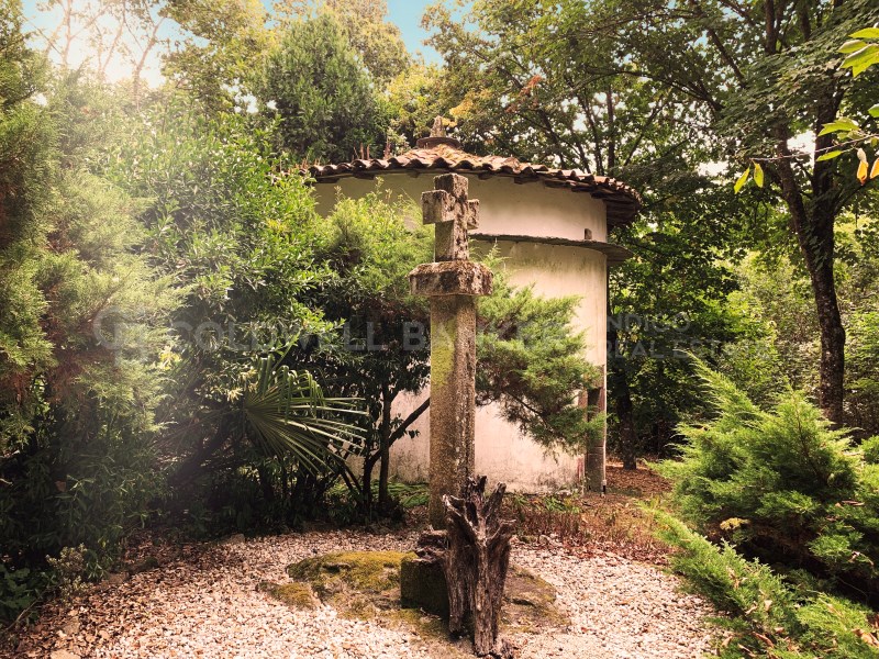 Lugo, Pant?n, Castill?n (Santiago) Lugo, Pant?n, C, Pantón, Galicia, ES, 10 Bedrooms Bedrooms, ,13 BathroomsBathrooms,Residential,For Sale,Lugo, Pant?n, Castill?n (Santiago) Lugo, Pant?n, C,1618788