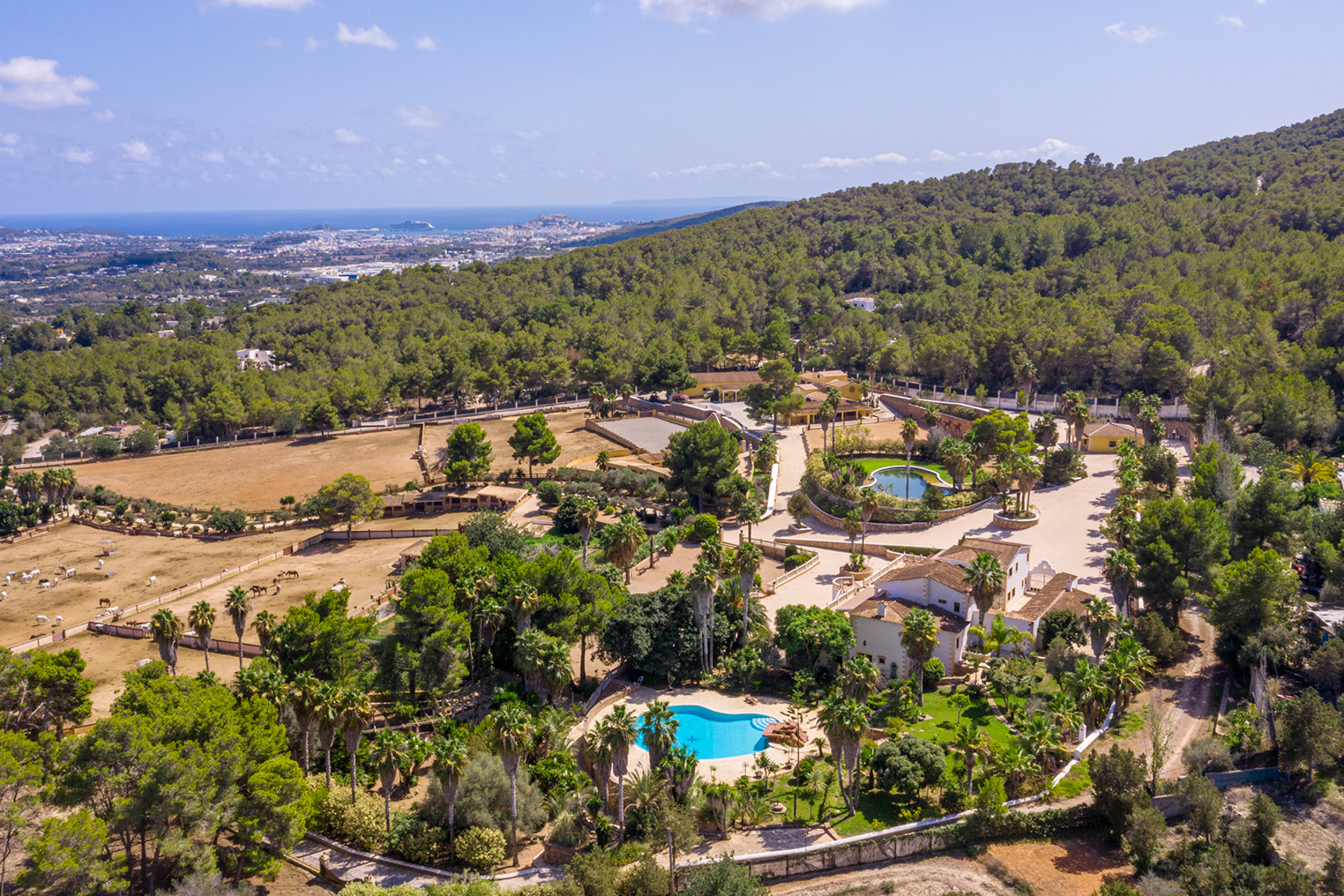 Los Olivos: exclusive award-winning stud farm in the heart of Ibiza