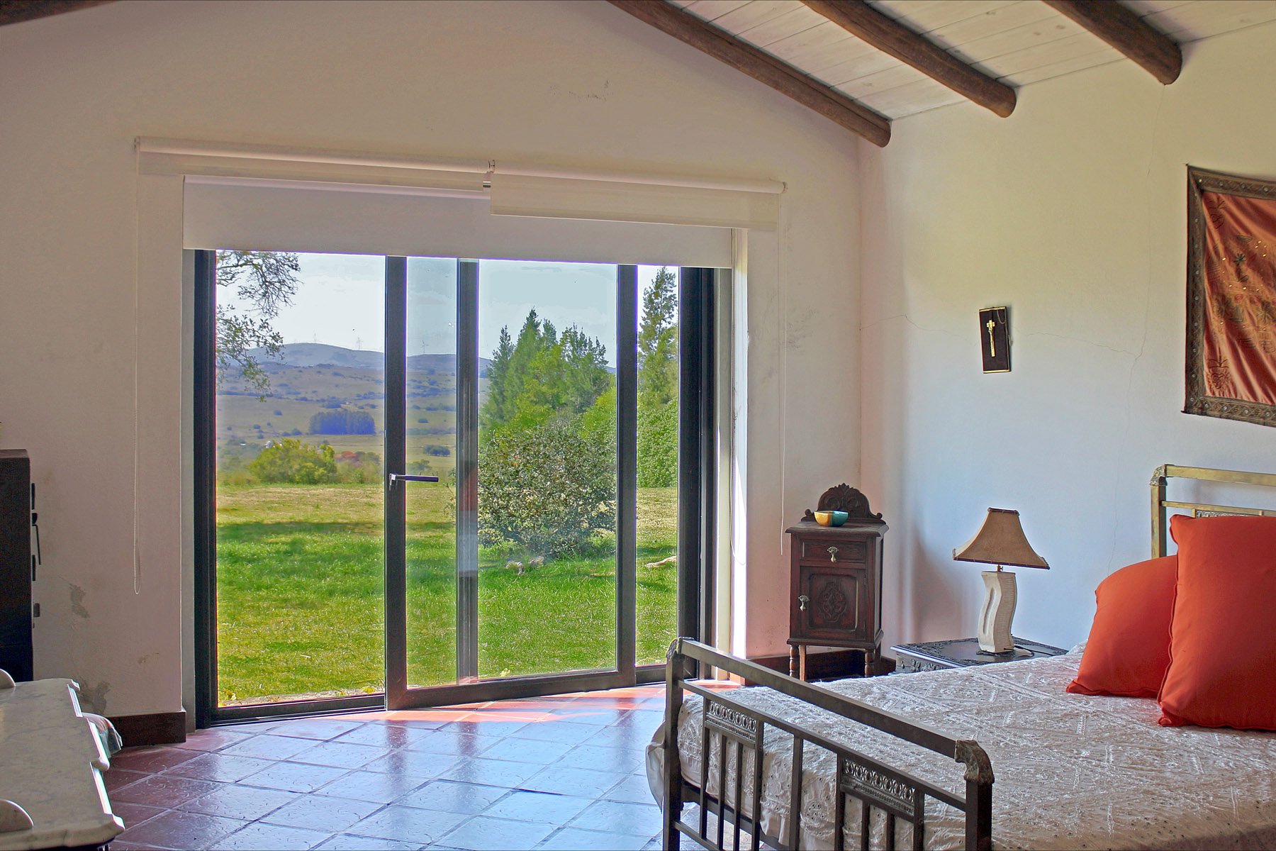  Farm with olive groves in Pueblo Edén - 物件實景