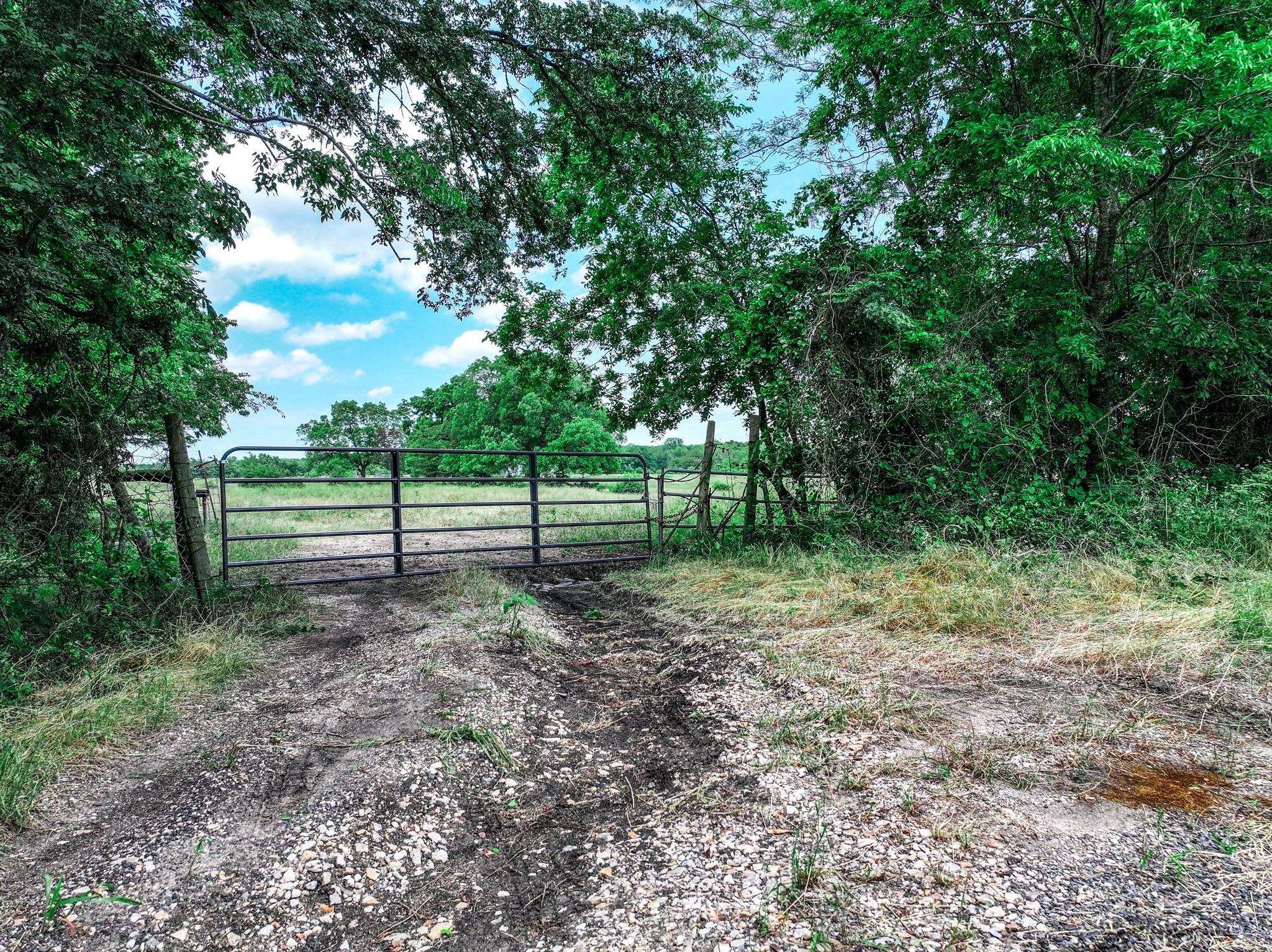 Commerce, Texas, 75428, United States, ,Land,For Sale,1980085