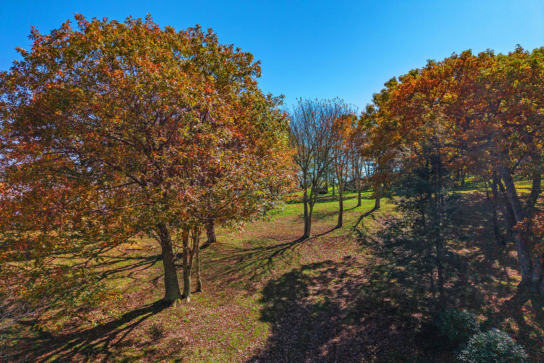  BANNER ELK - ROCKY KNOB - 物件實景