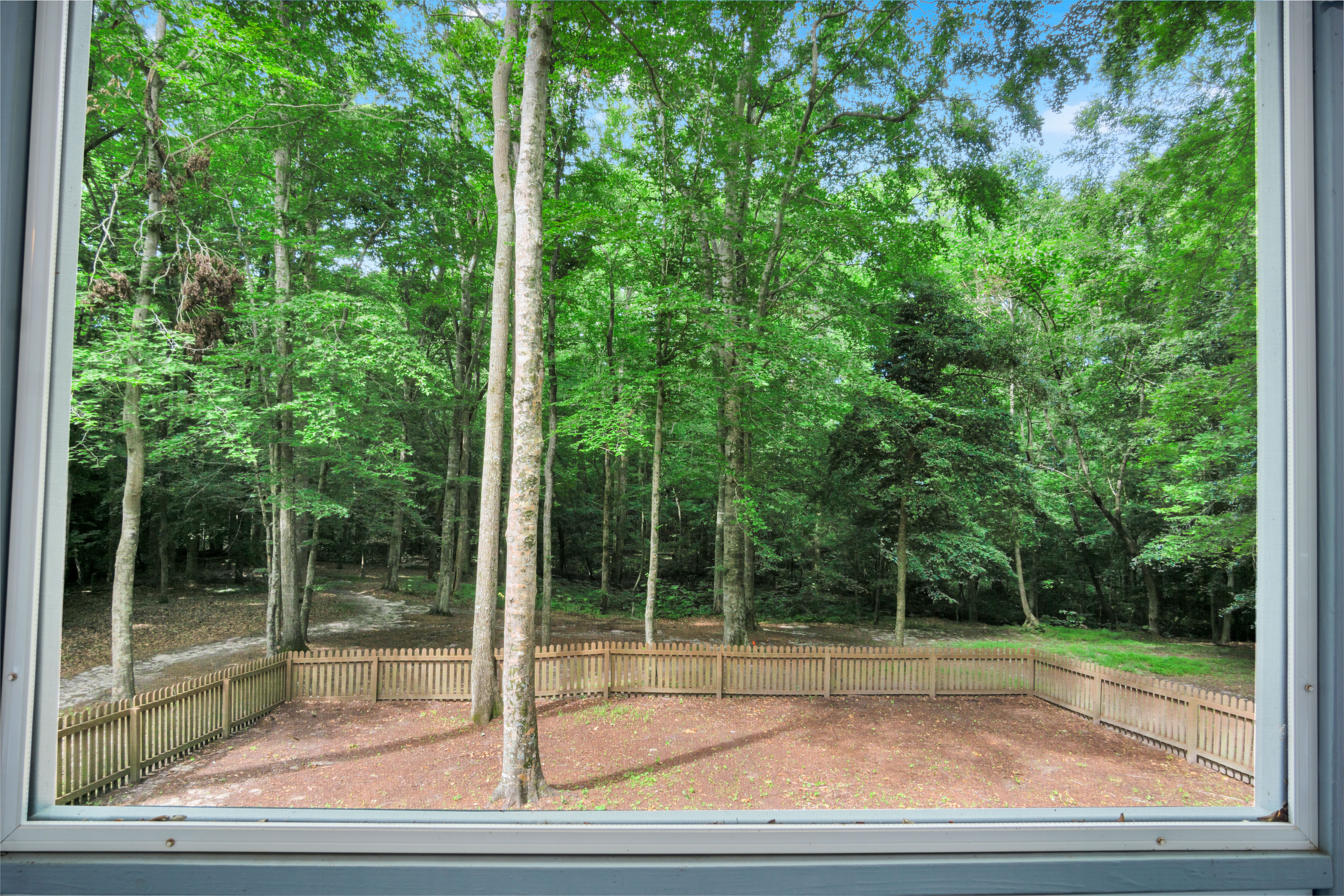 Williamsburg, Virginia, 23185, United States, 4 Bedrooms Bedrooms, ,4 BathroomsBathrooms,Residential,For Sale,1892691