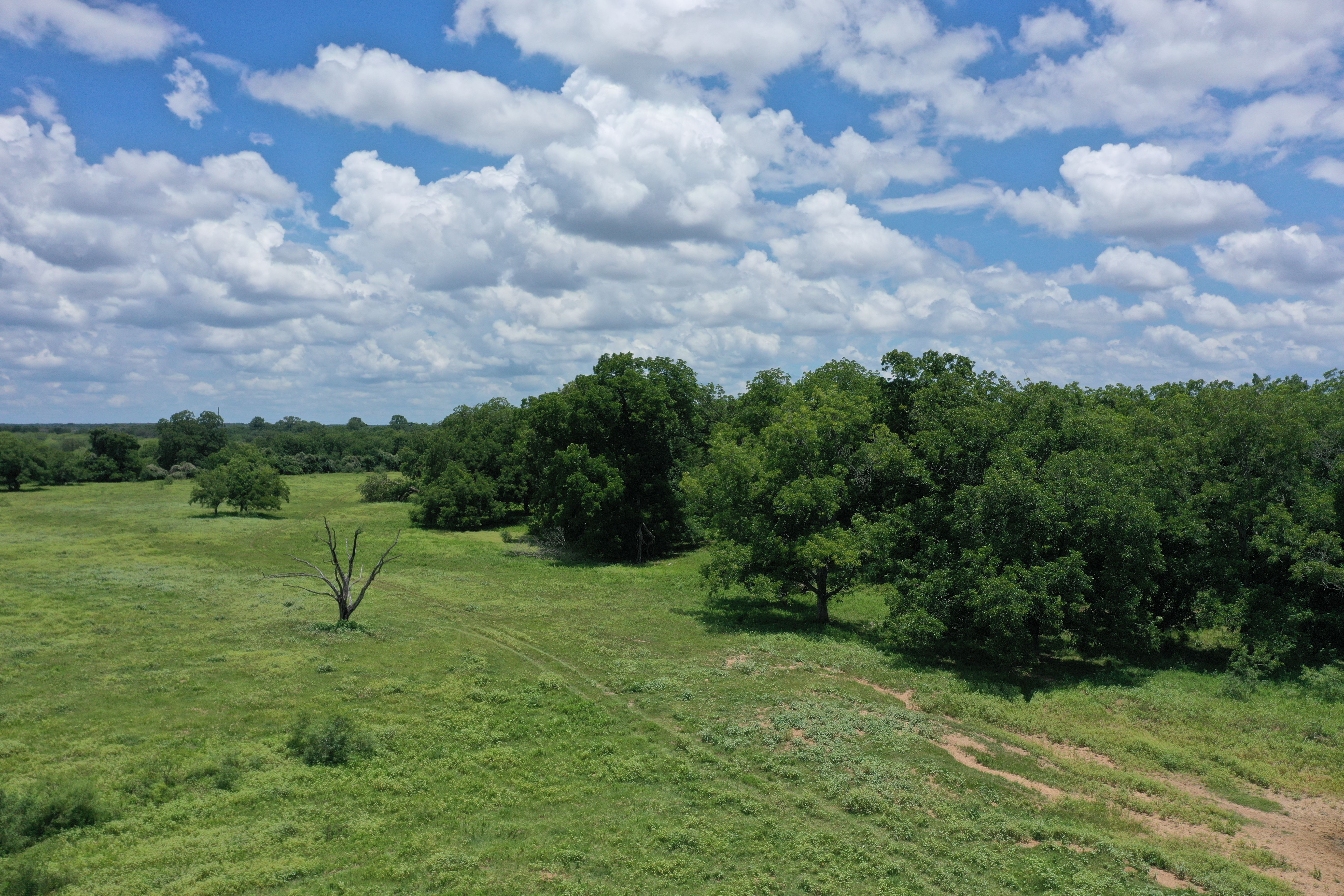  Buck Branch Ranch - 物件實景
