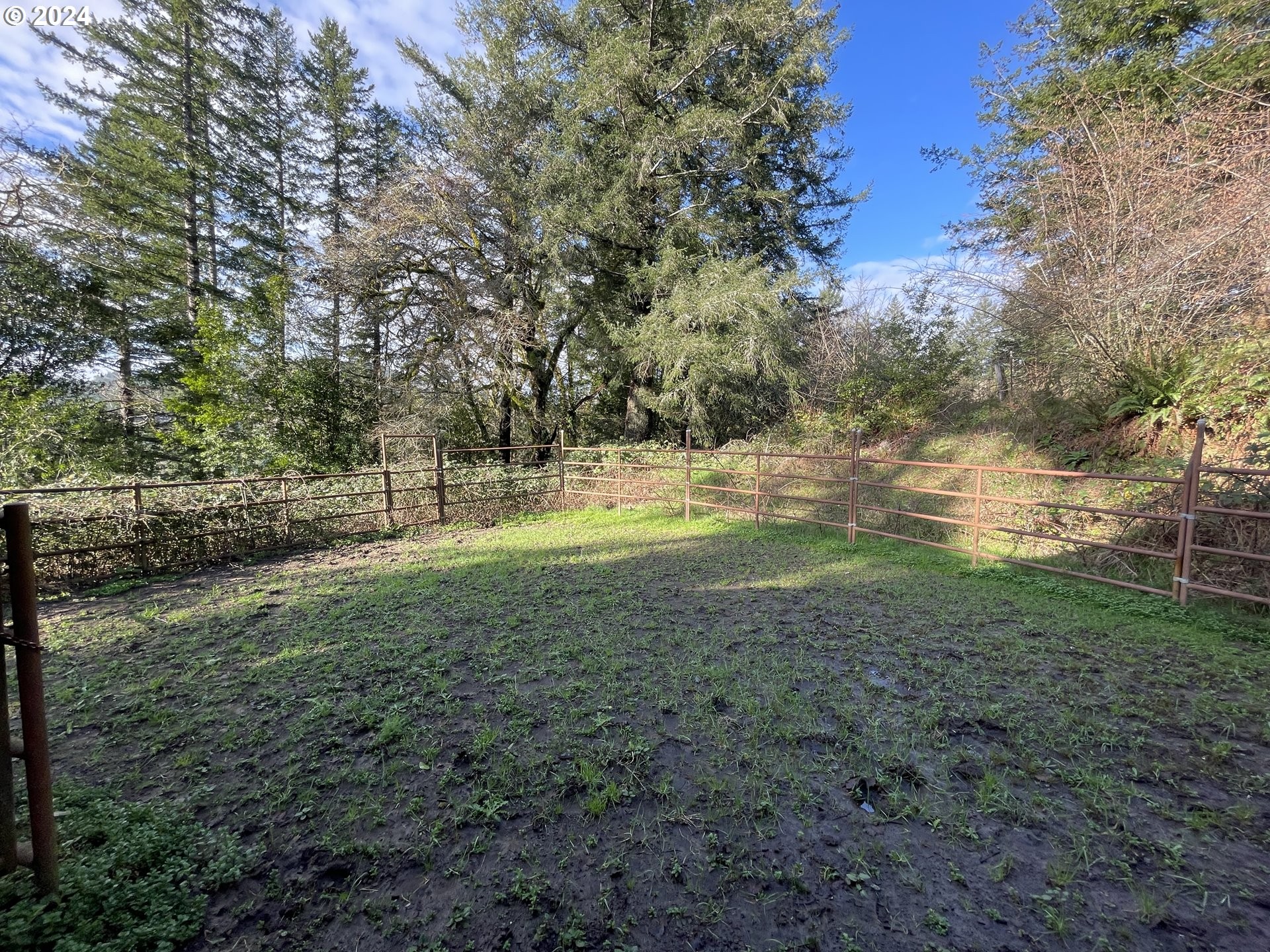 Brookings, Oregon, 97415, United States, 3 Bedrooms Bedrooms, ,2 BathroomsBathrooms,Residential,For Sale,1915358