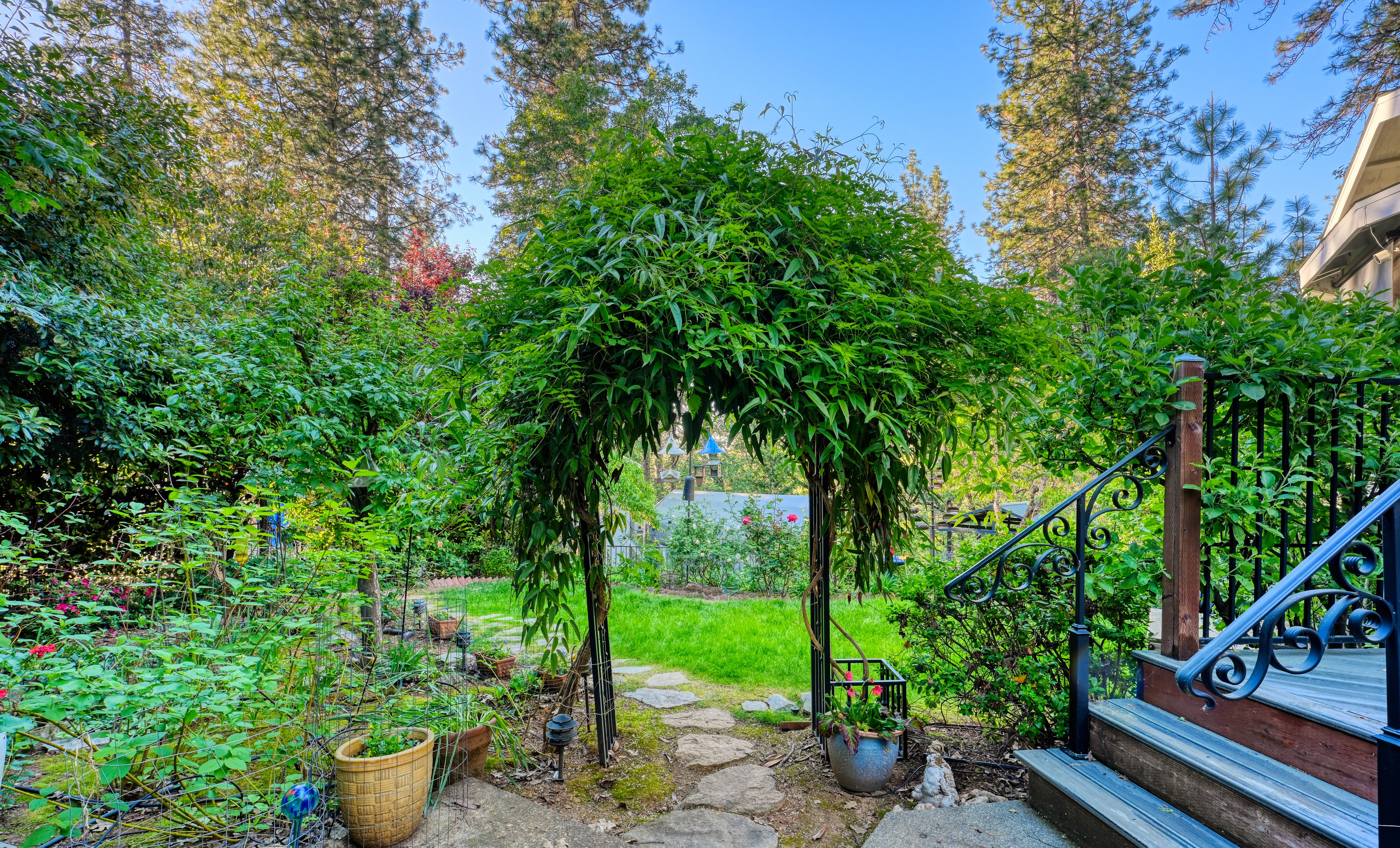  20925 Indian Drive, Colfax, CA 95713 - 物件實景