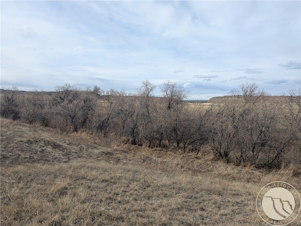 Billings, Montana, 59106, United States, ,Land,For Sale,1981775