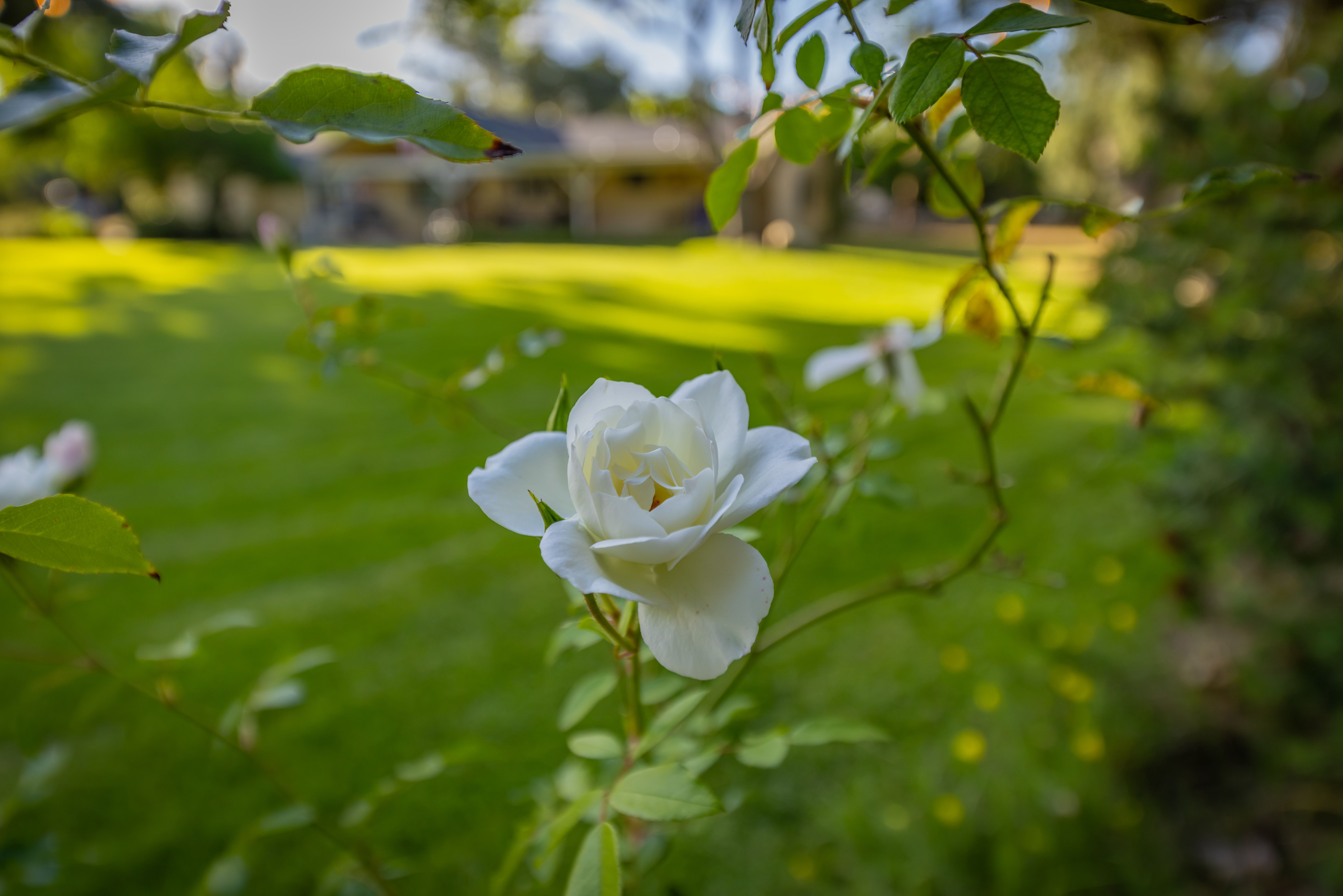  560 Riverside Road, Oak View, CA 93022 - 物件實景