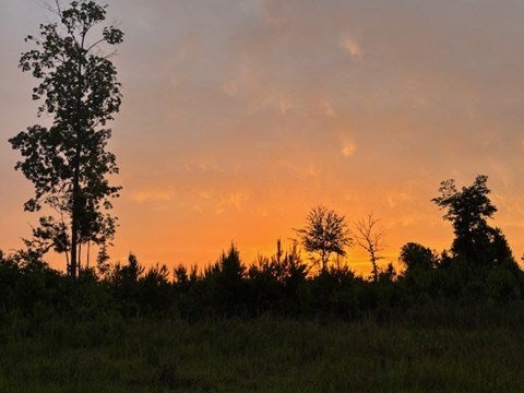 Valdosta, Georgia, 31601, United States, 4 Bedrooms Bedrooms, ,5 BathroomsBathrooms,Residential,For Sale,1991156
