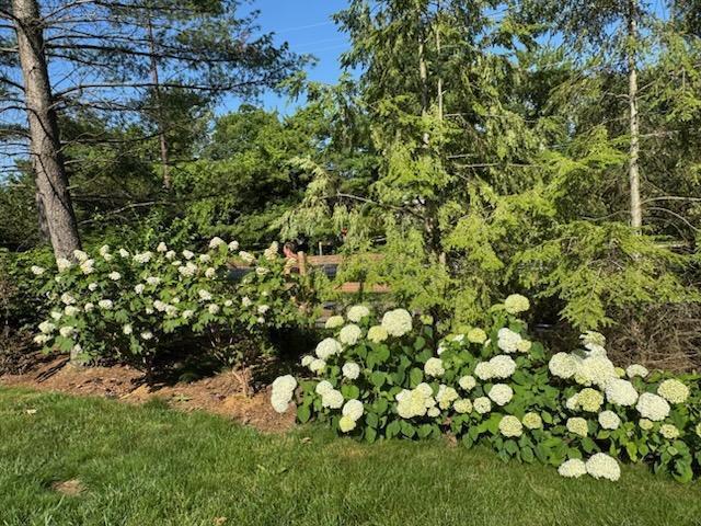 Westerville, Ohio, 43081, United States, 4 Bedrooms Bedrooms, ,3 BathroomsBathrooms,Residential,For Sale,1911058