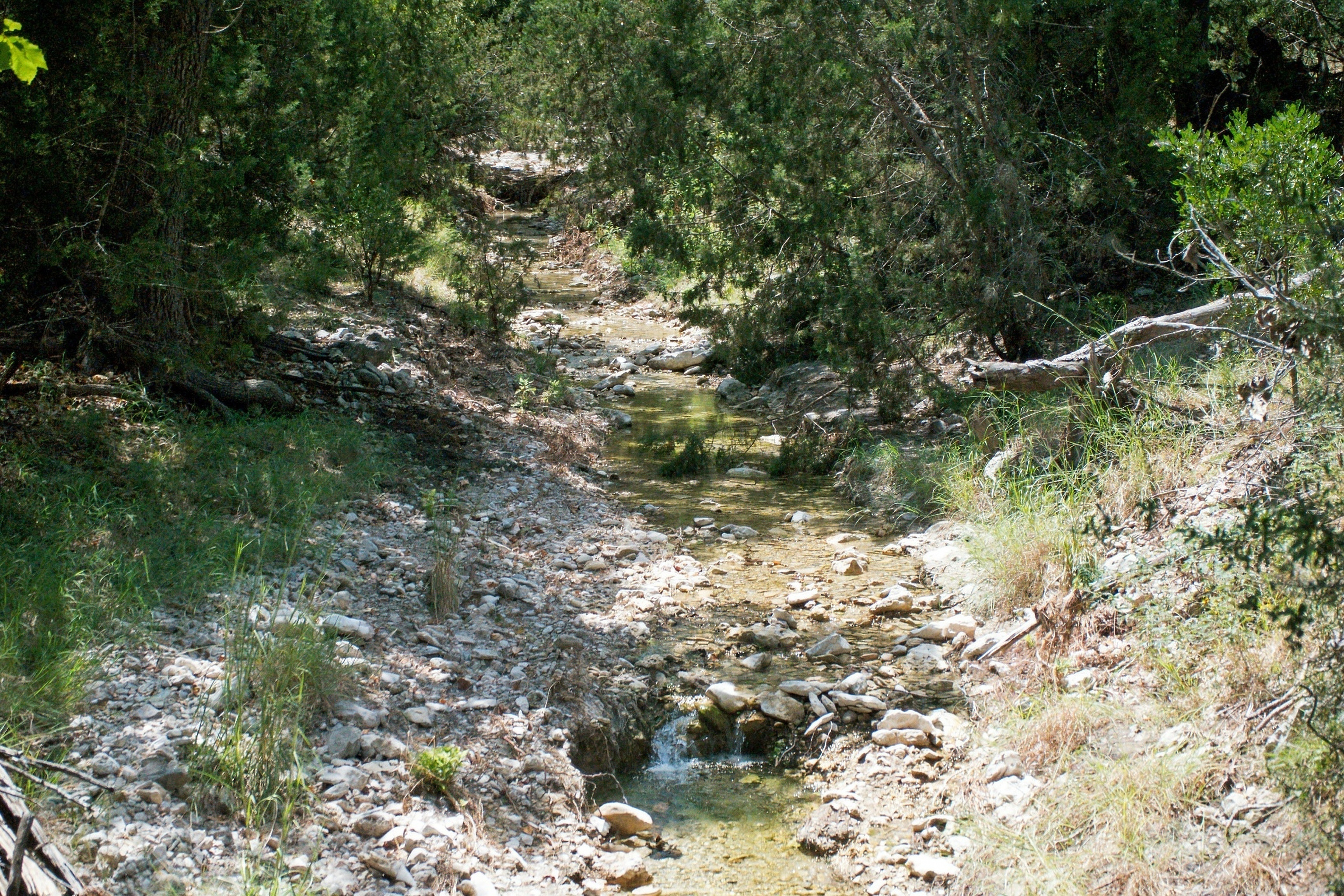  985+/- Acre 12 Springs Ranch - 物件實景