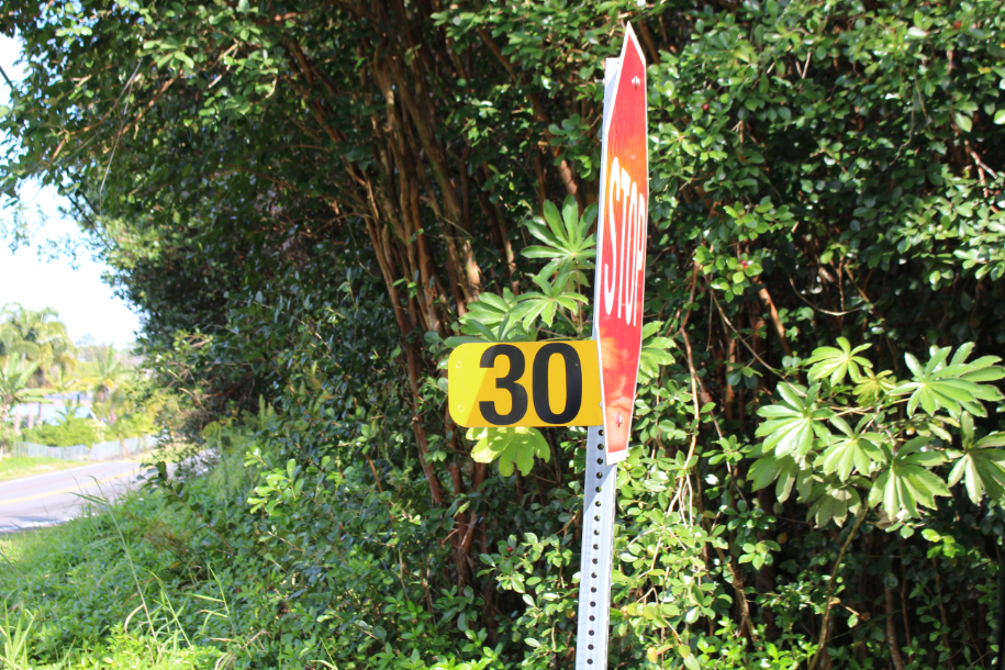 Keaau, Hawaii, 96749, United States, ,Land,For Sale,1977941