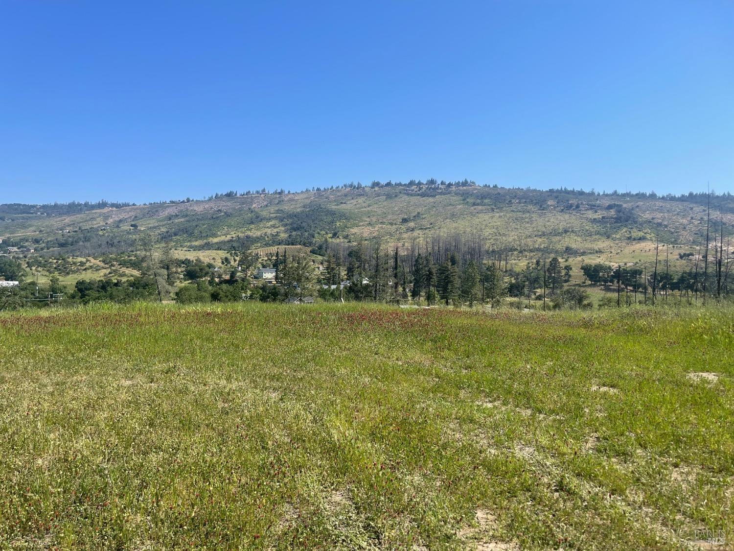 St. Helena, California, 94574, United States, ,Residential,For Sale,1793007