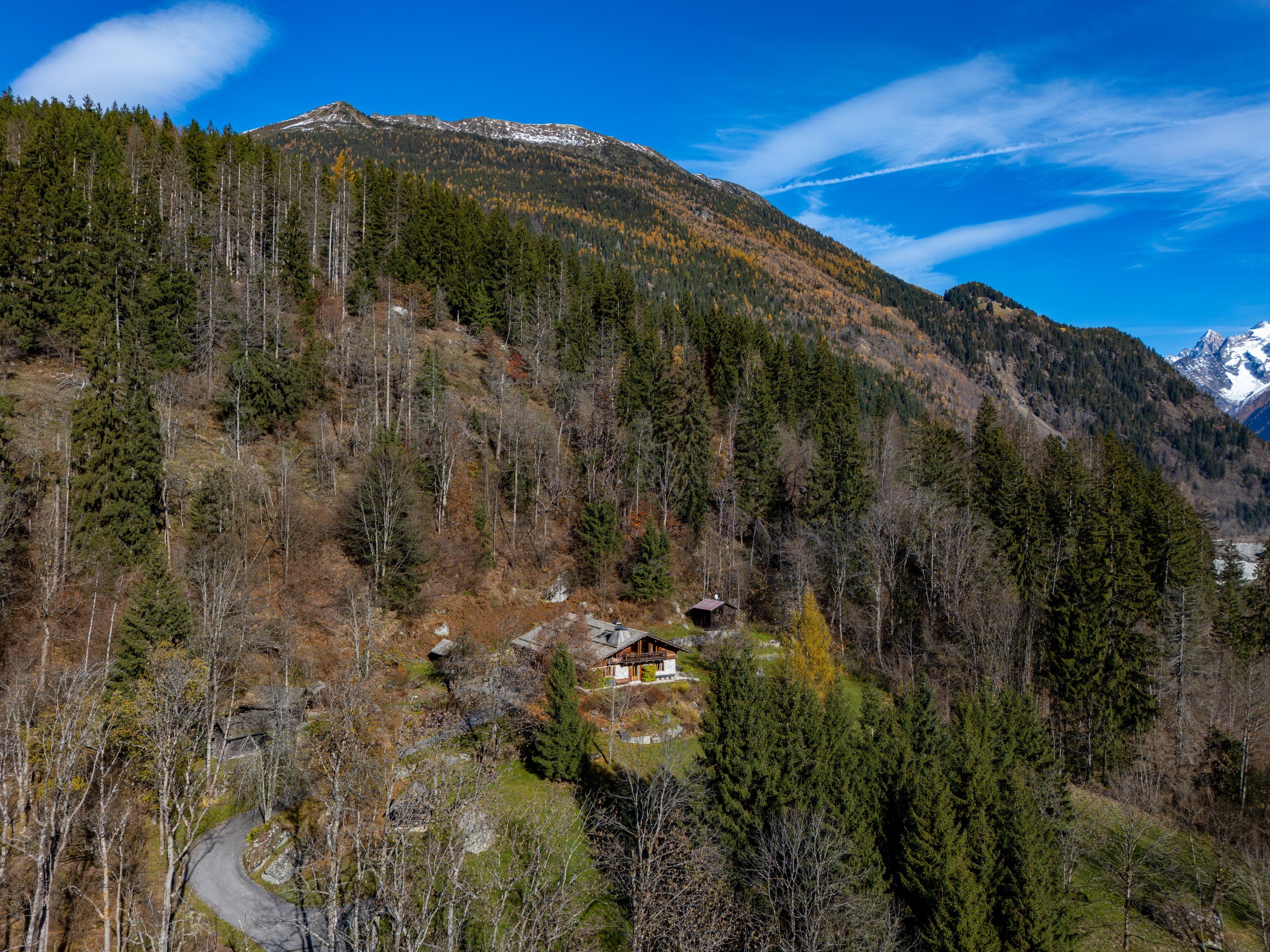  EXCLUSIVITY - FARMHOUSE PALOMINO - 物件實景