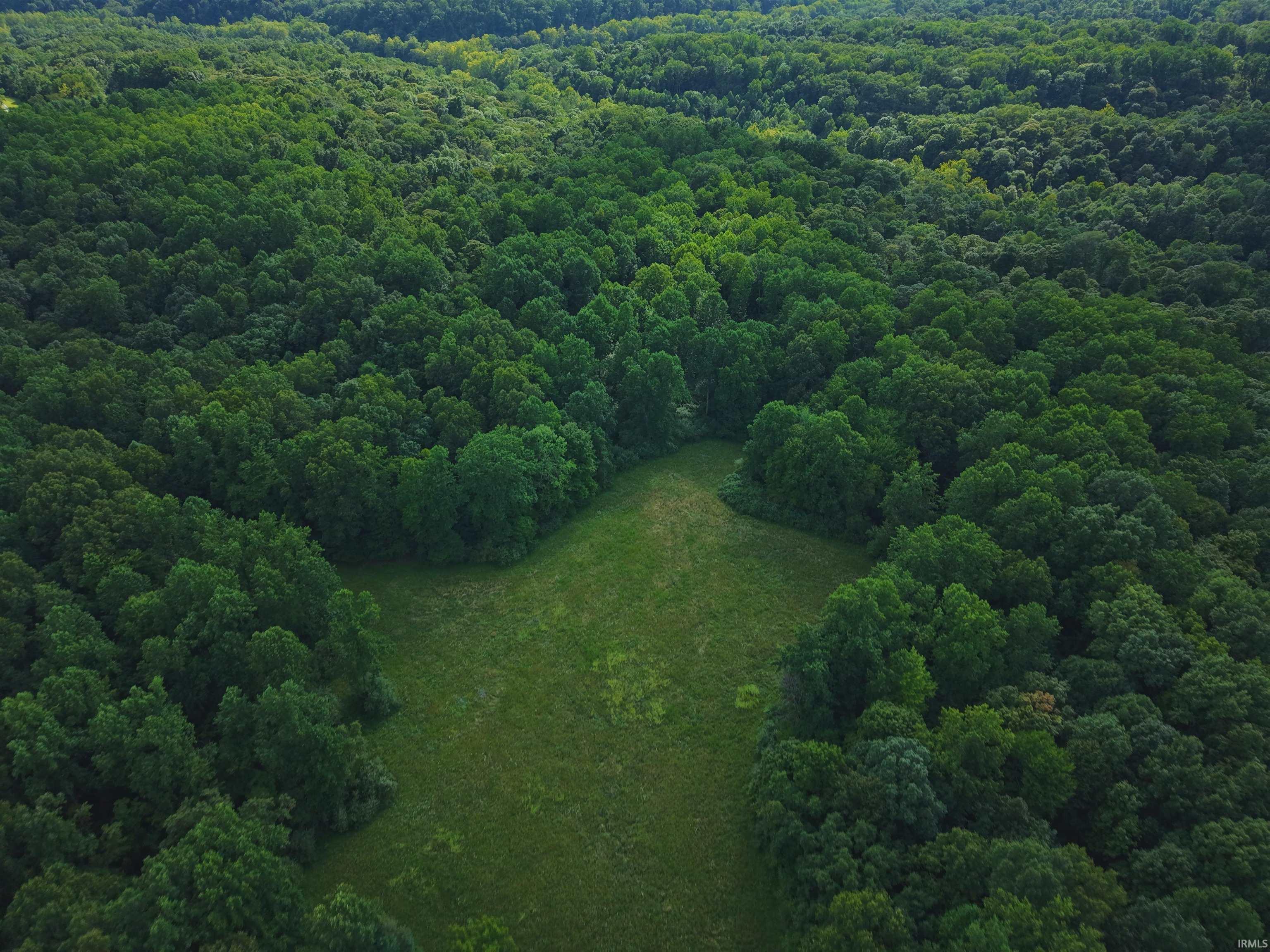 Bloomington, Indiana, 47401, United States, ,Land,For Sale,1976606