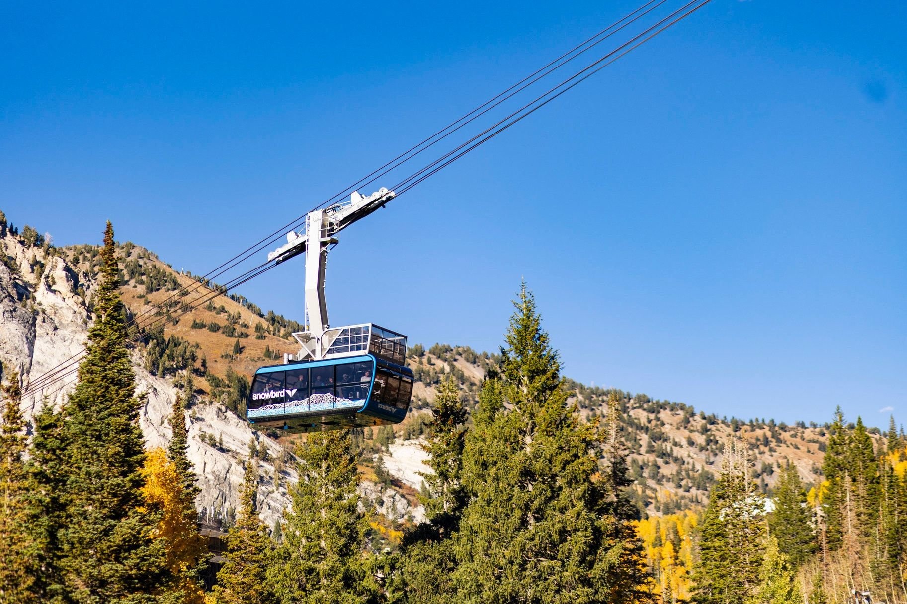  New Luxury Boutique Ski Condos at the Mouth of Big Cottonwood Canyon - 物件實景