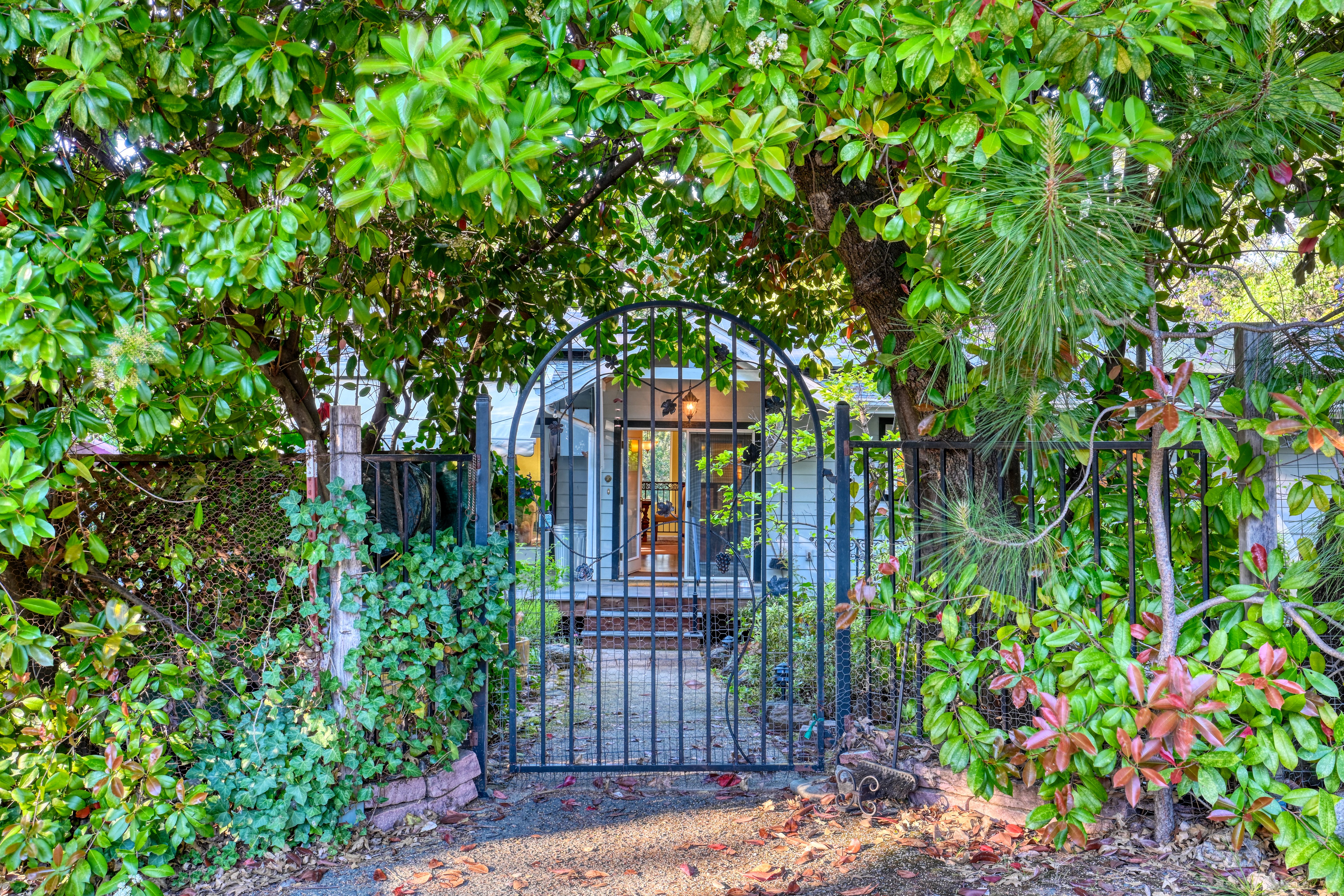  20925 Indian Drive, Colfax, CA 95713 - 物件實景