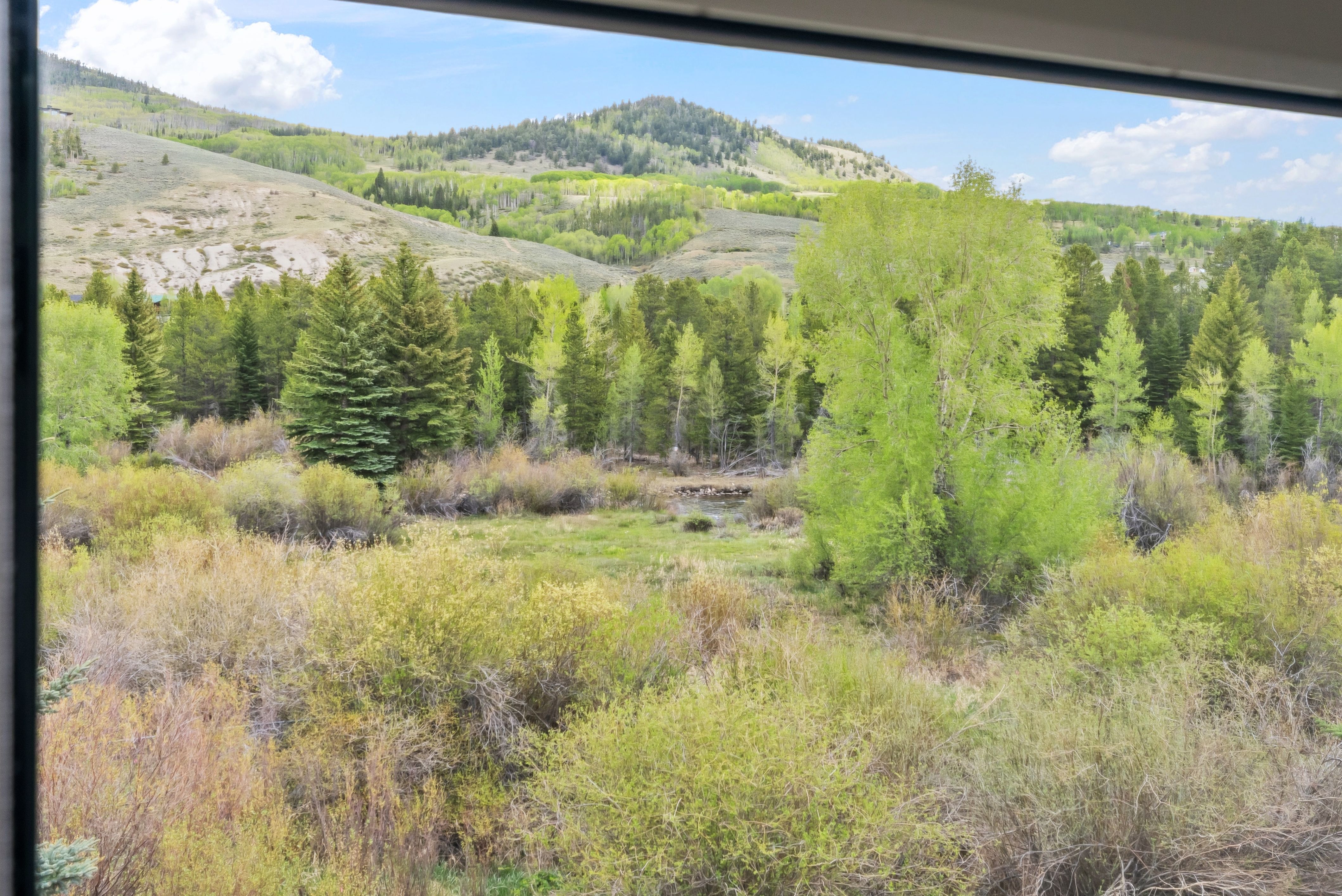  135 Creek Lane, Silverthorne, CO, 80498 - 物件實景