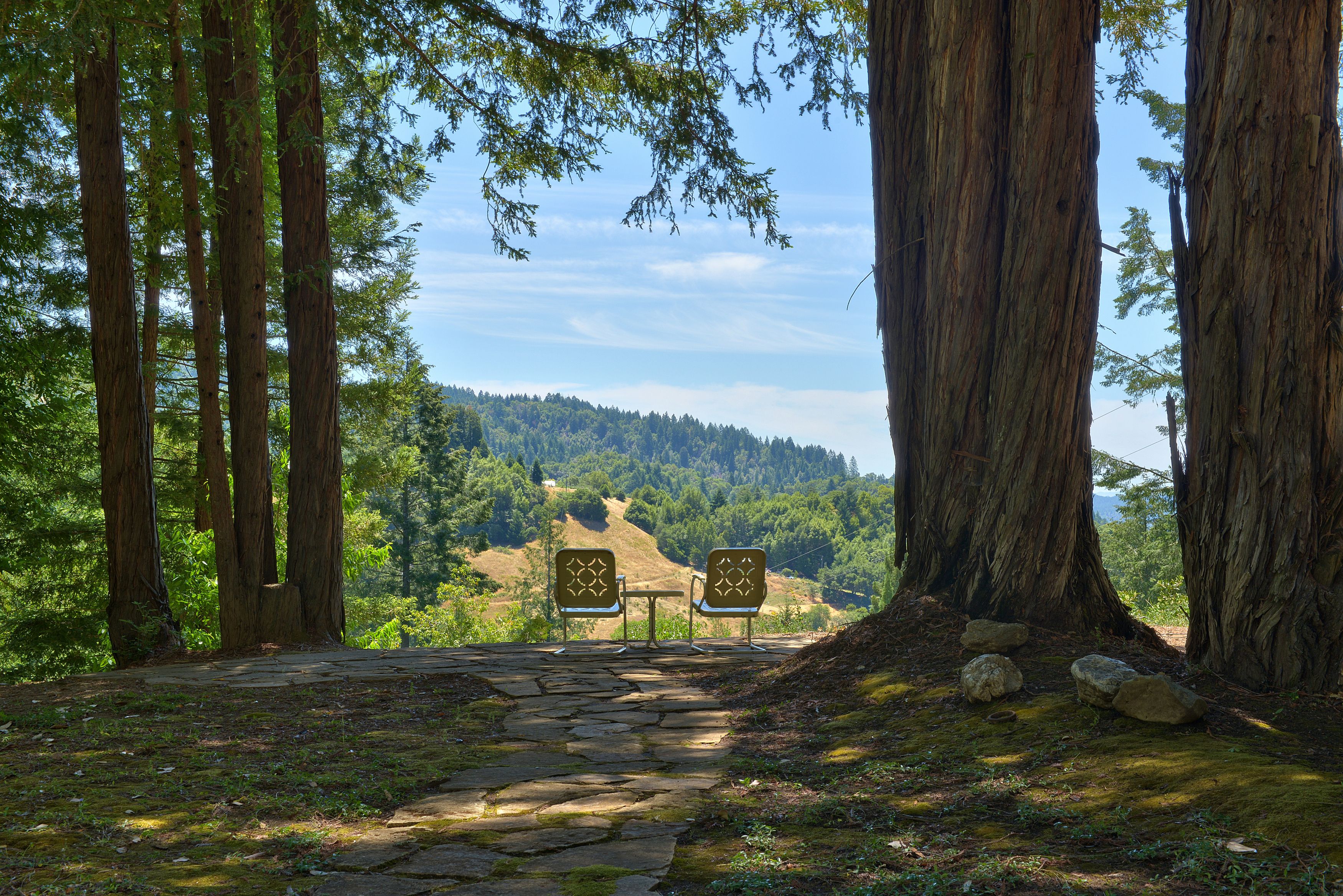  18900 Armstrong Woods Road, Guerneville, CA 95446 - 物件實景