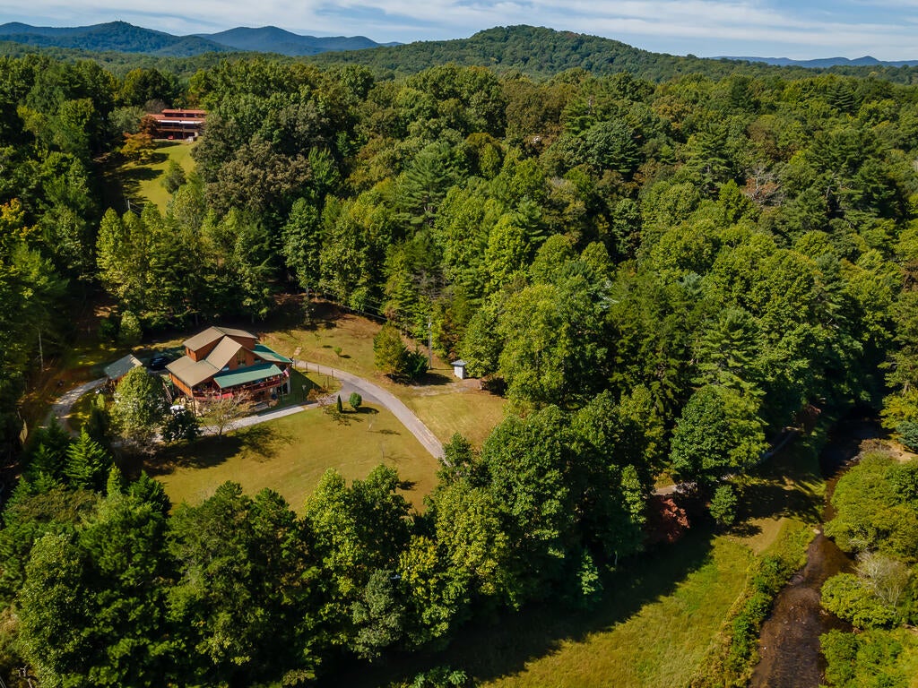 Cedar Valley Rd, Blue Ridge, GA 30513 #1