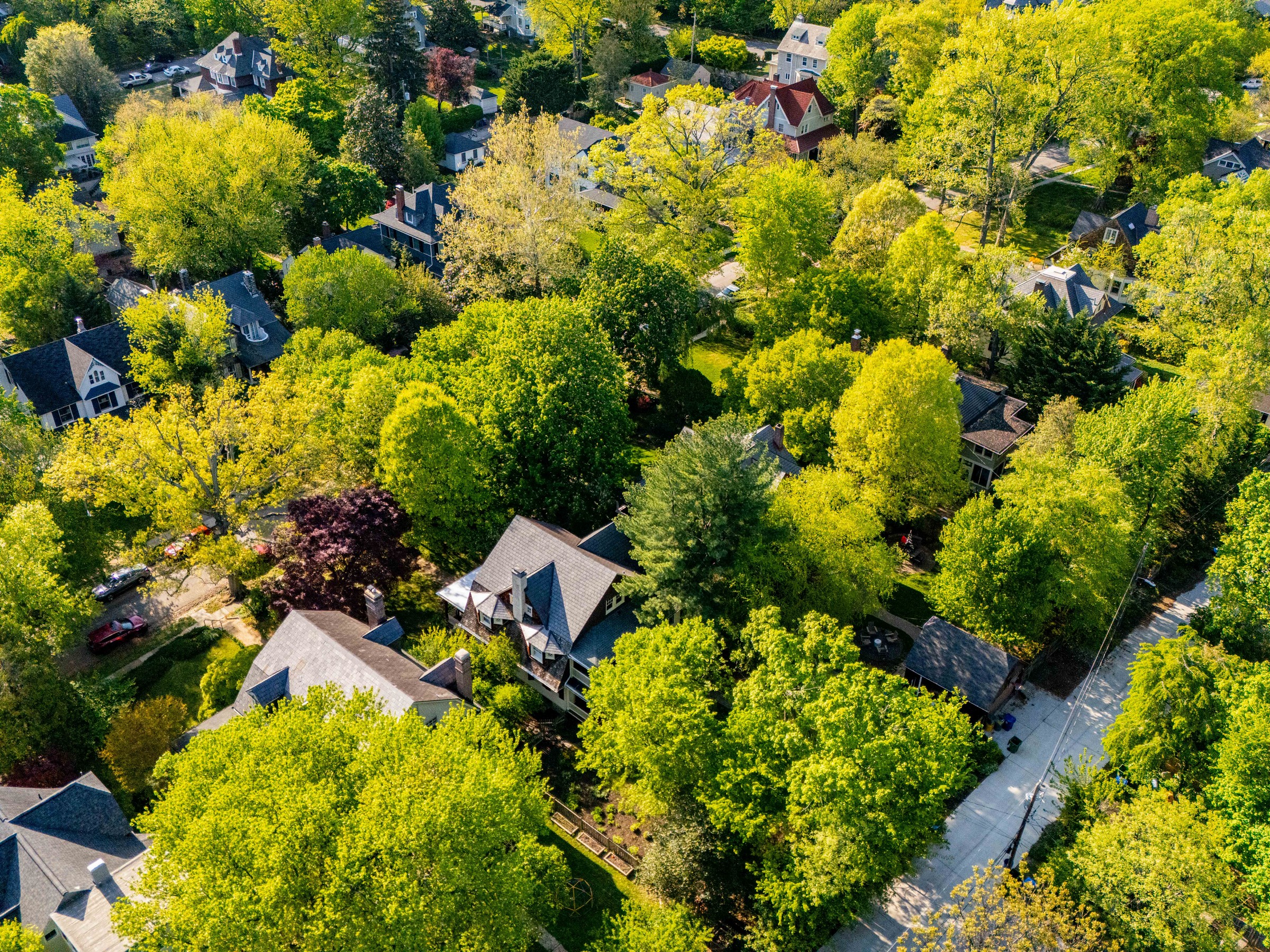  ROLAND PARK - 物件實景