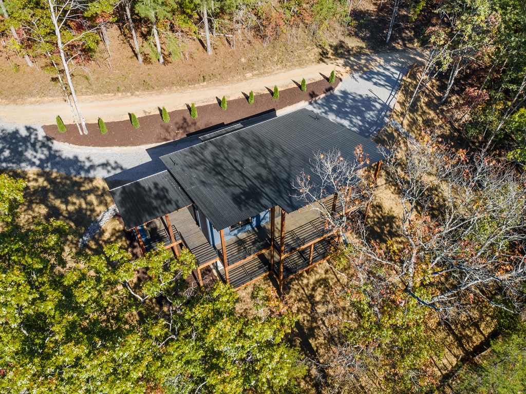 Mineral Bluff, Georgia, 30559, United States, 3 Bedrooms Bedrooms, ,3 BathroomsBathrooms,Residential,For Sale,1984301