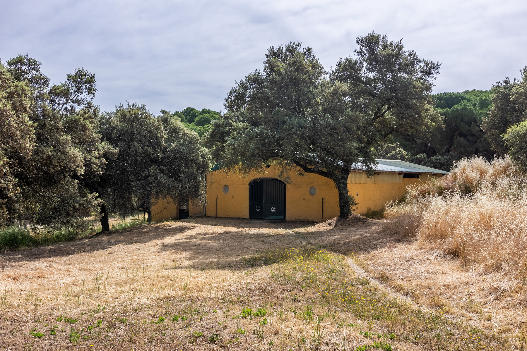  Recreational and hunting estate in the Sierra de Córdoba - 物件實景