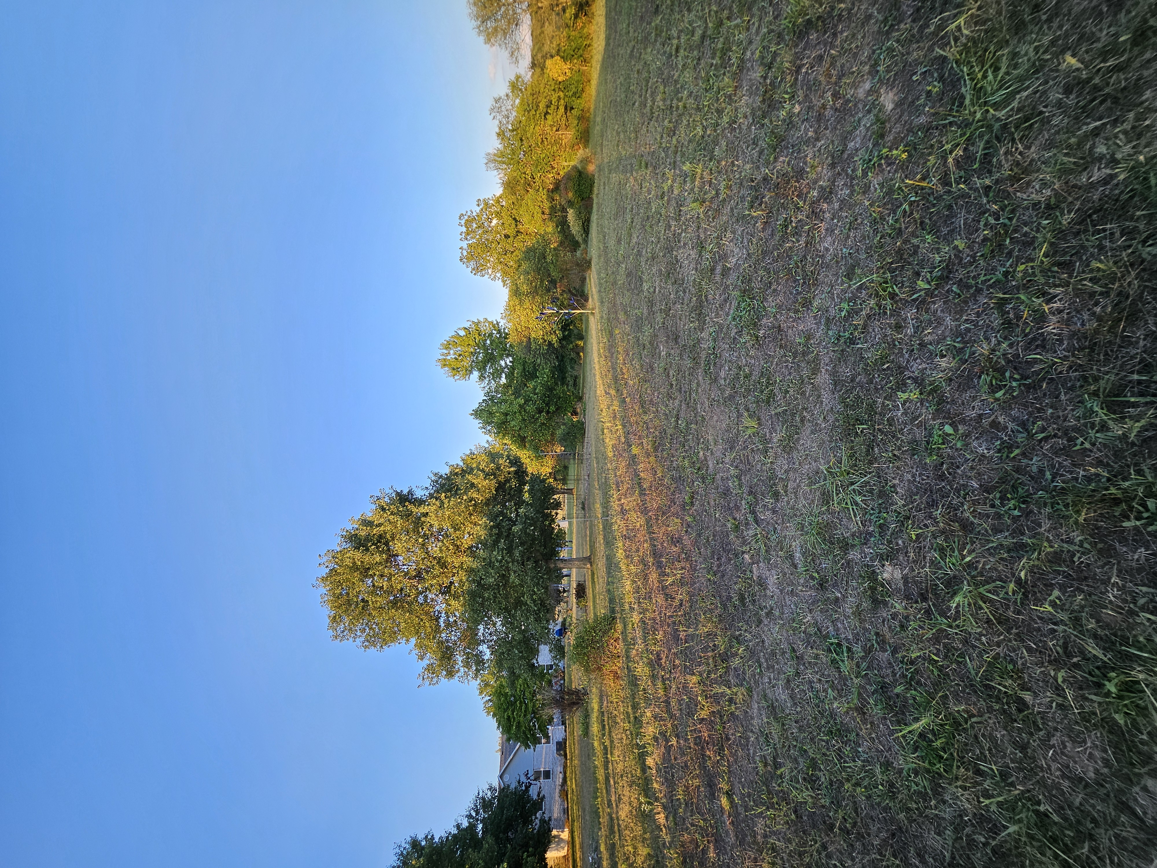 Pierce City, Missouri, 65723, United States, 5 Bedrooms Bedrooms, ,3 BathroomsBathrooms,Residential,For Sale,1975319