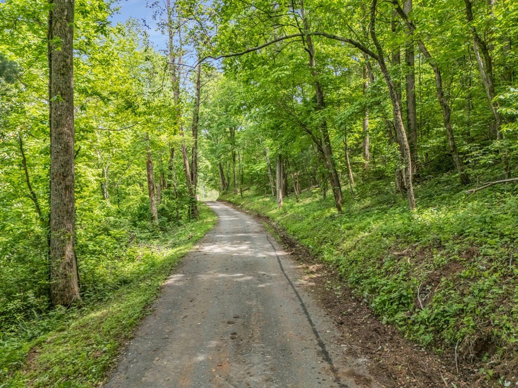 Blairsville, Georgia, 30512, United States, ,Residential,For Sale,1824066