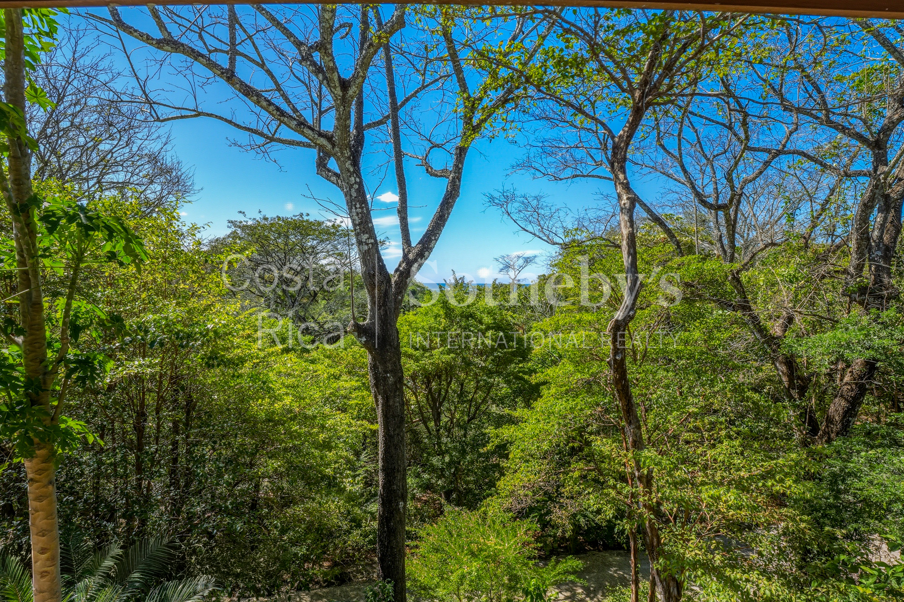  Casa Arbol - 物件實景