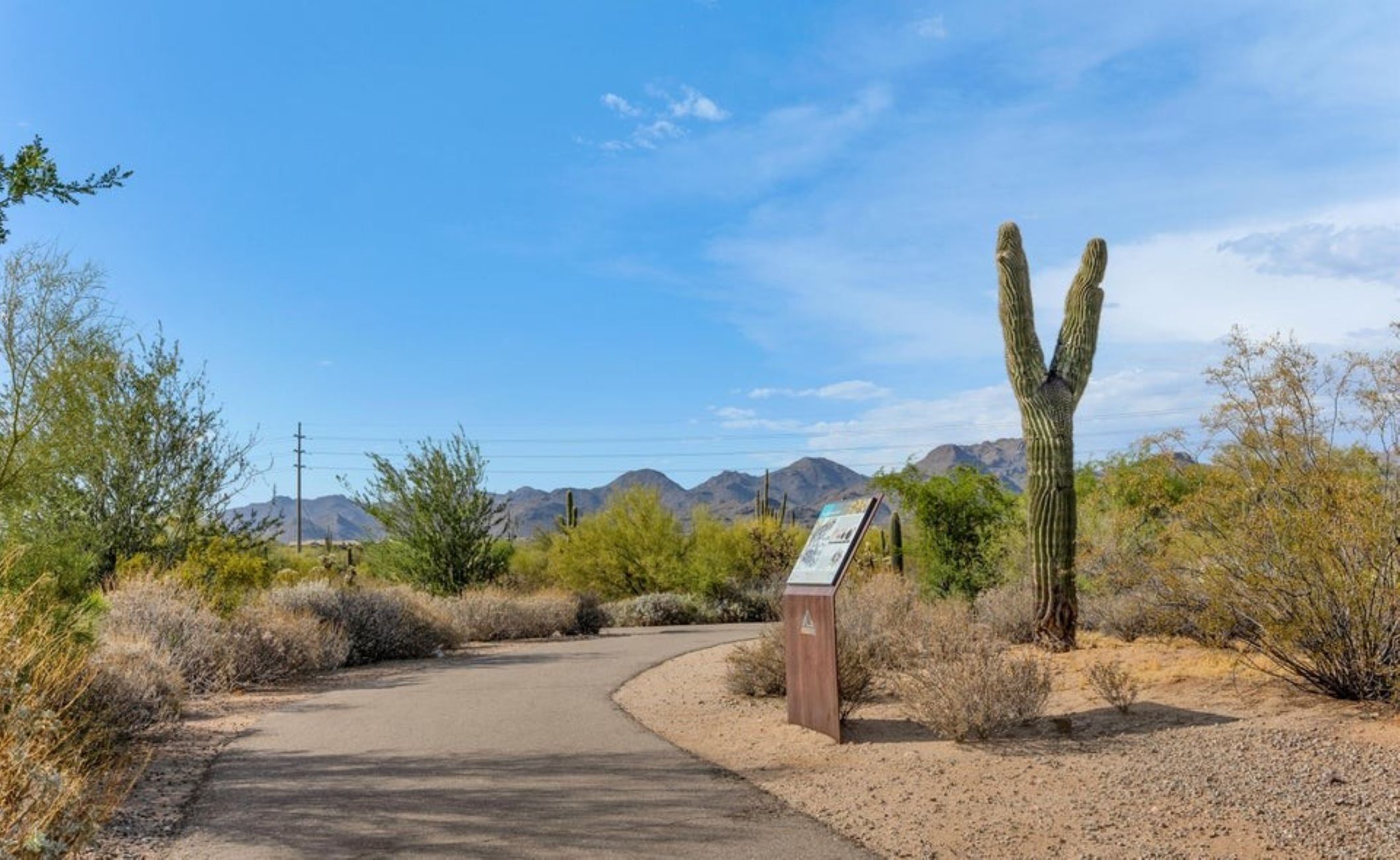  4166 W Adobe Ranch Place, Marana, AZ 85658 - 物件實景