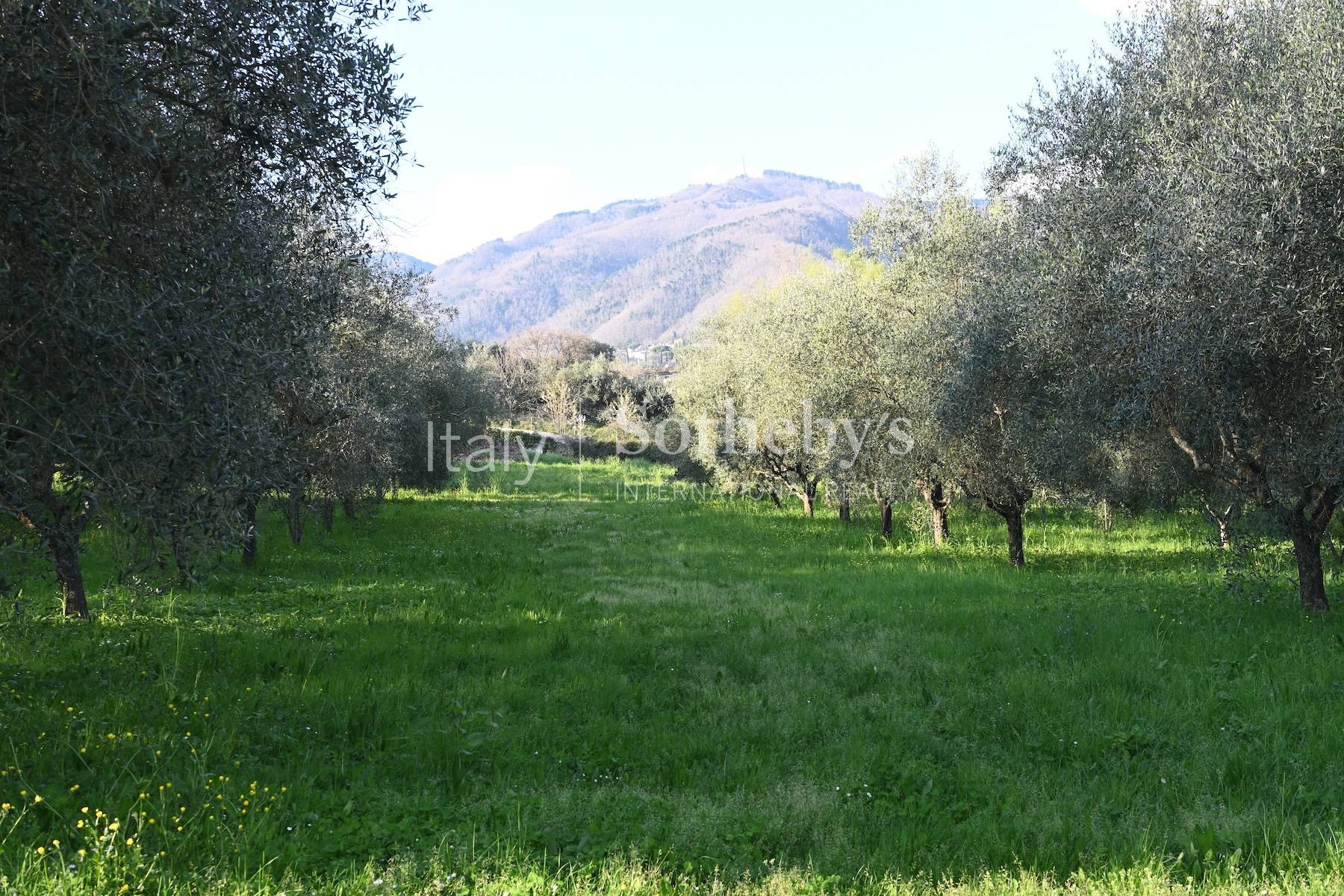  Authentic historic property in the countryside of Lucca - 物件實景