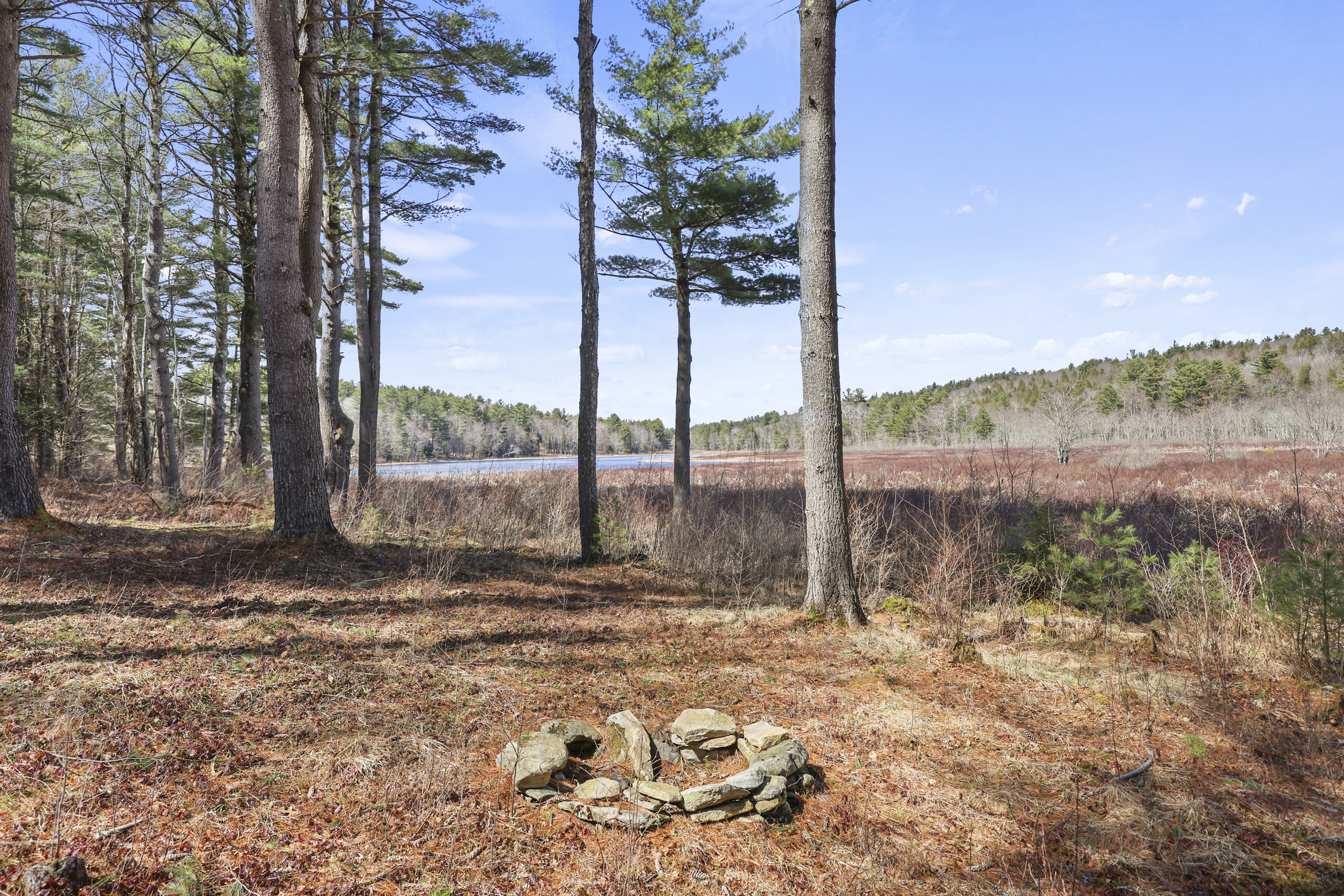  Berkshires Log Home Retreat with Wildlife Pond & Guest Apartment - 物件實景