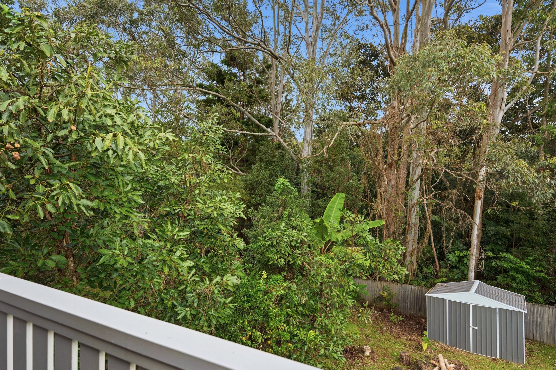  36 Palm-Lily Crescent, Bangalow - 物件實景