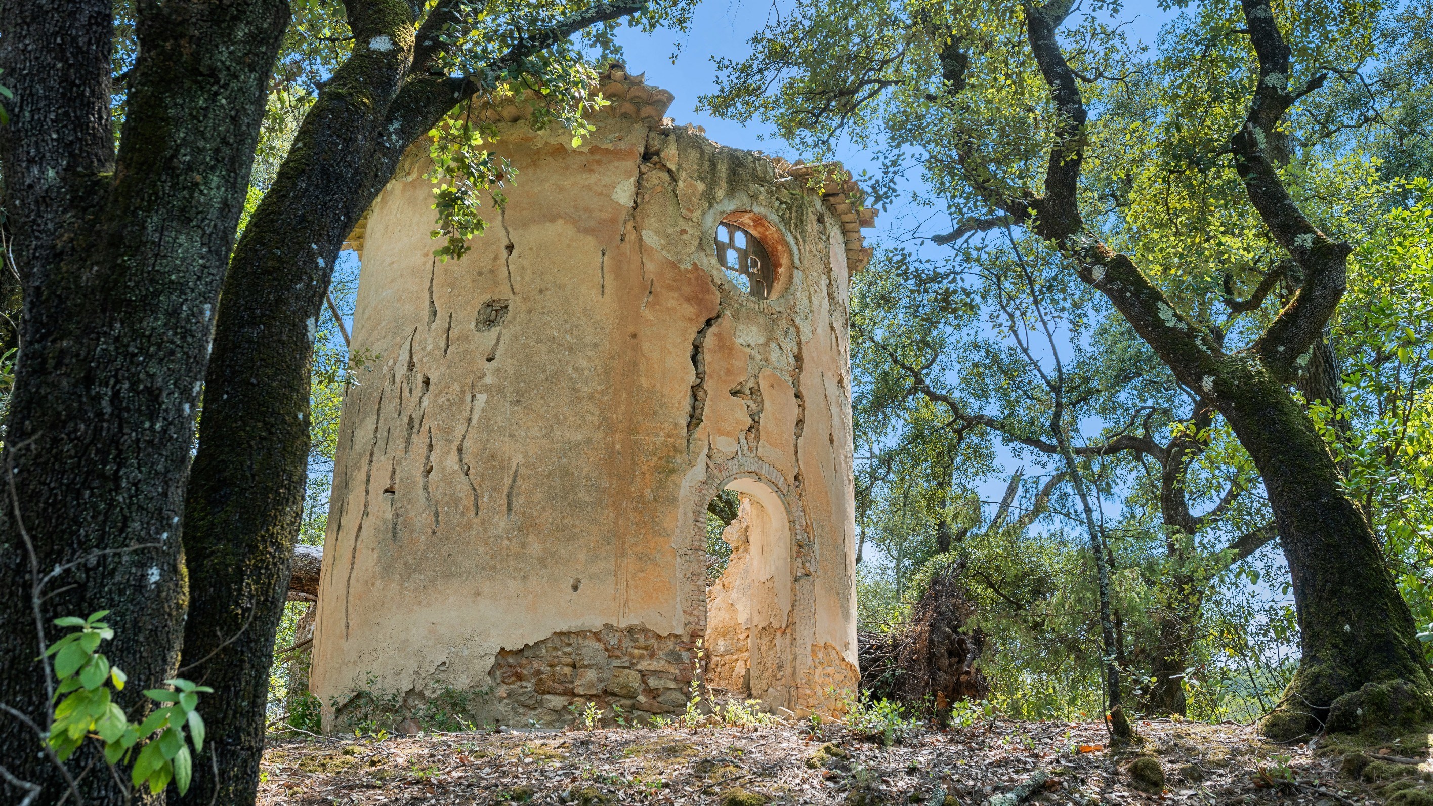  Lorgues – Characterful Provençal Estate Set Within 55 Hectares - 物件實景