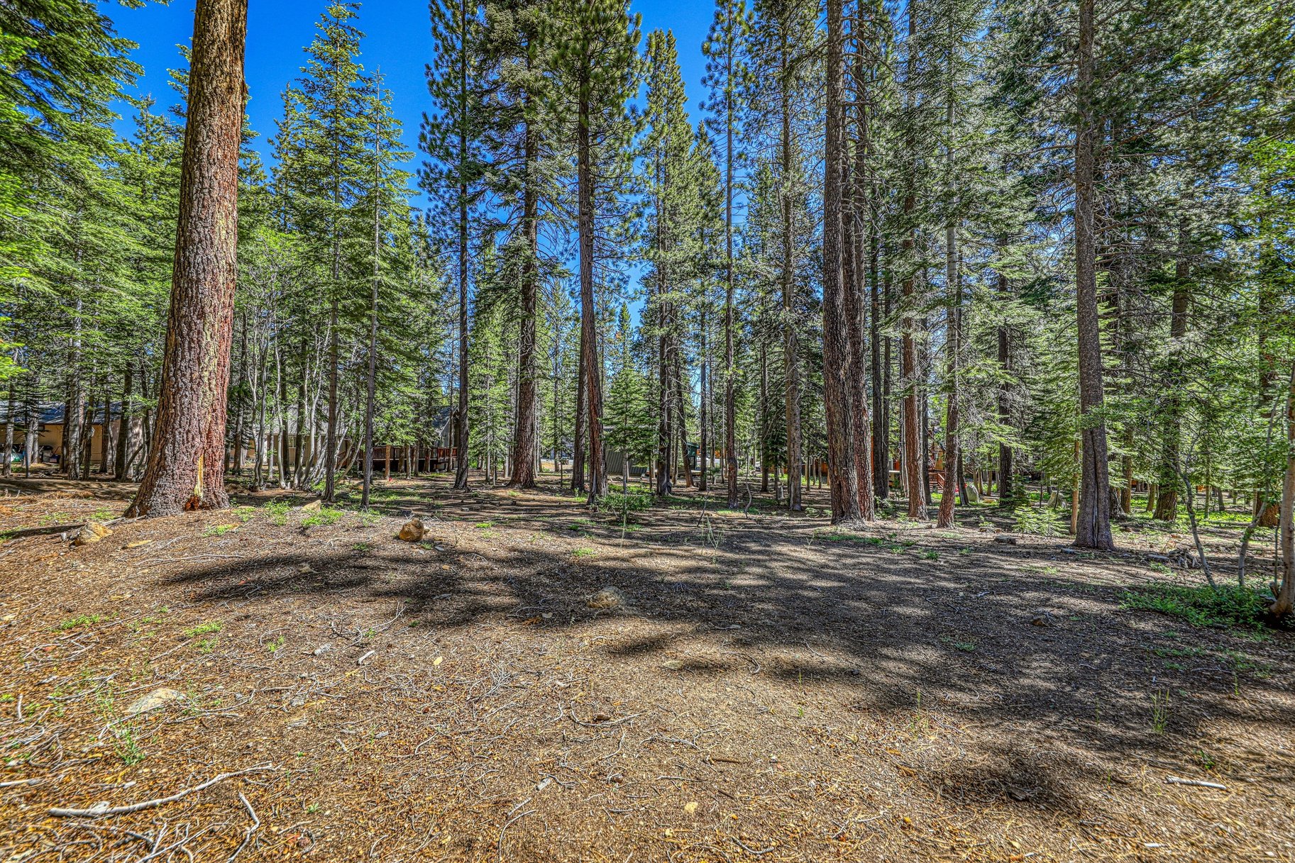  DESIRABLE TAHOE DONNER LOCATION - 物件實景