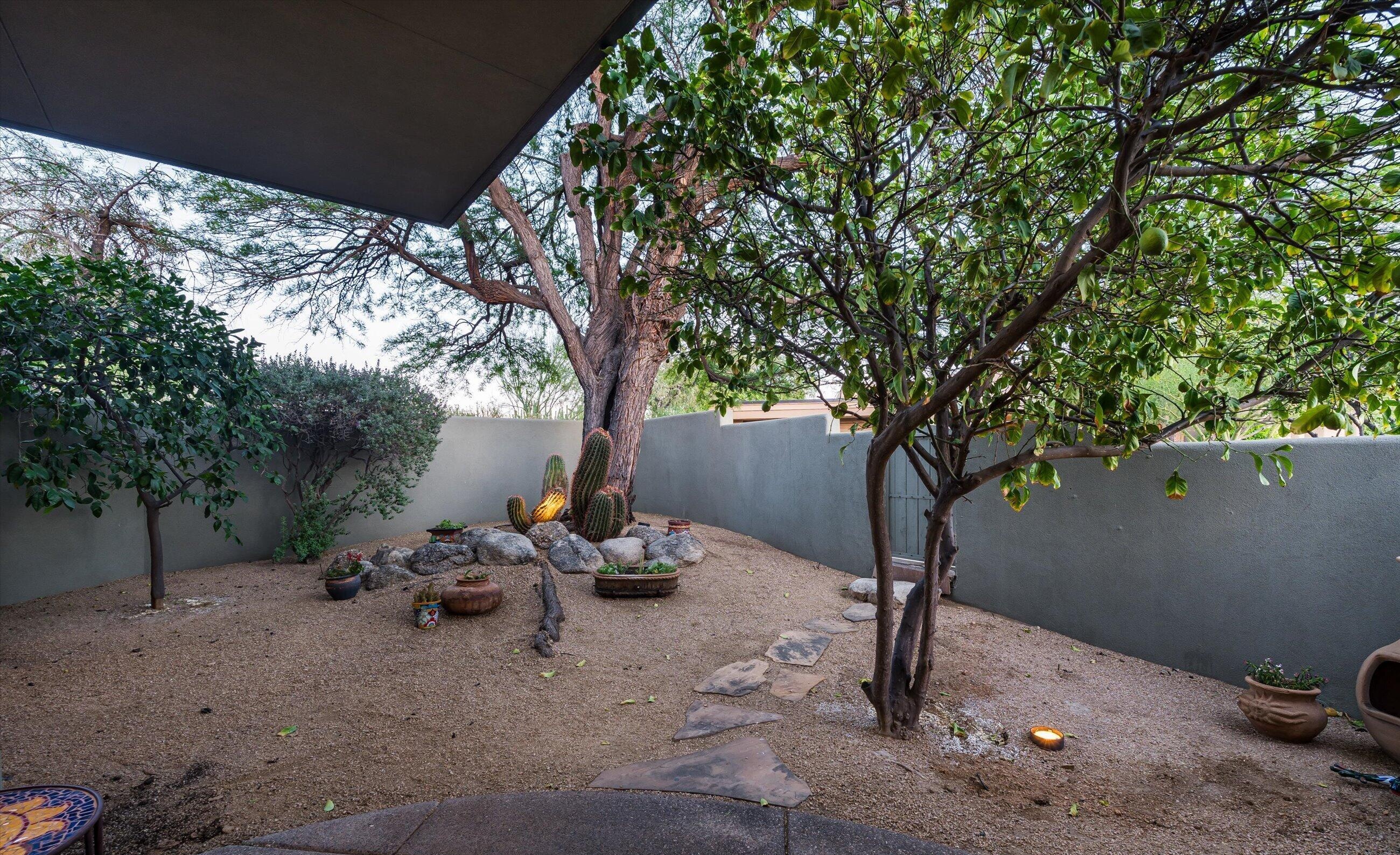  10615 E Honey Mesquite Dr  Scottsdale, A - 物件實景