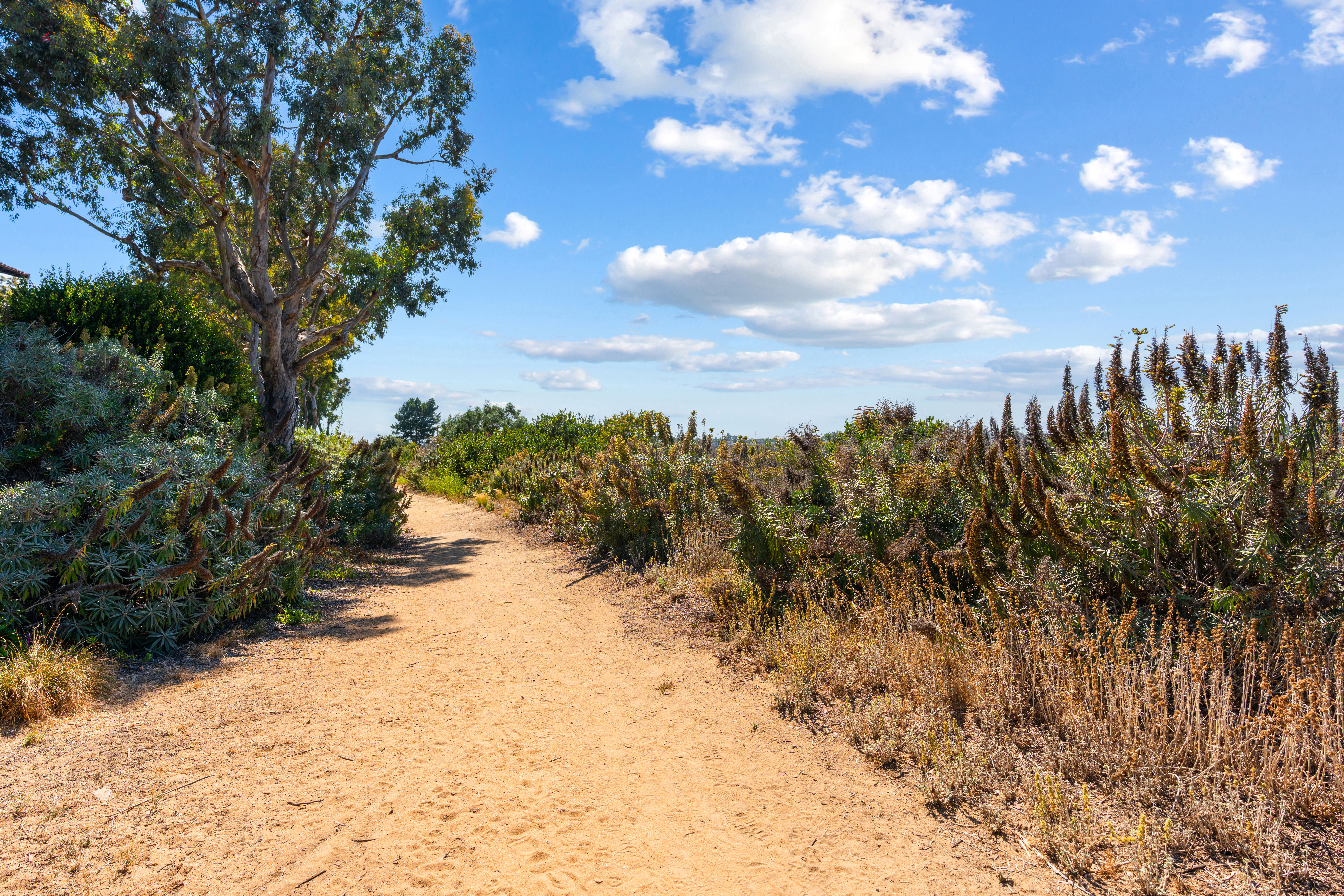  416 Onda, Newport Beach, CA 92660 - 物件實景