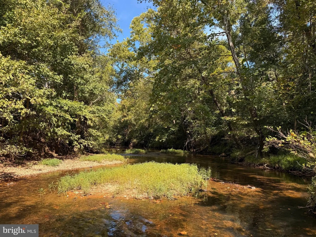 Appomattox, Virginia, 24522, United States, ,Land,For Sale,1982903