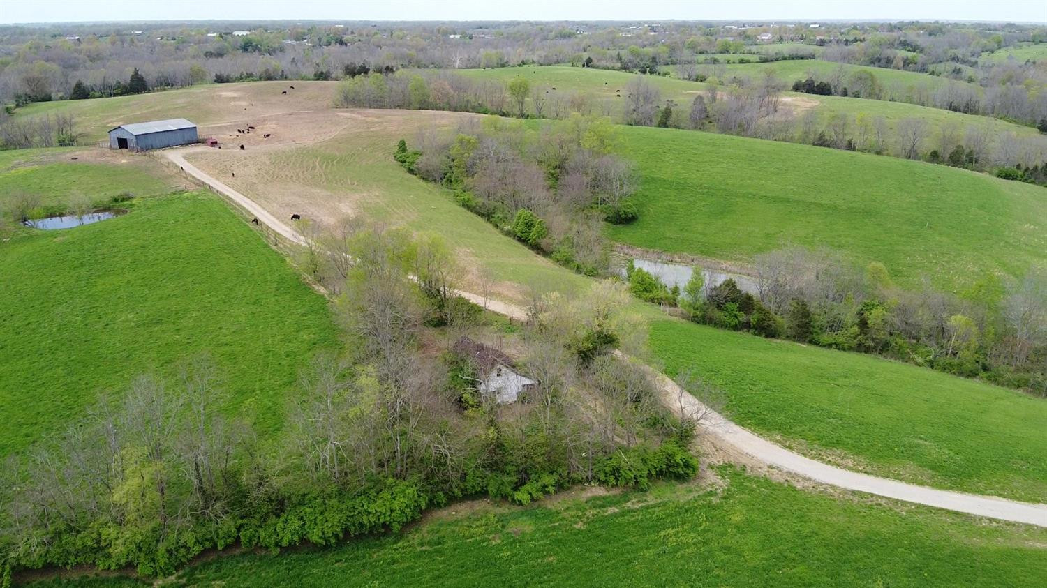 1400 Curtis Pike, Richmond, Kentucky, 40475, United States, ,Land,For Sale,1400 Curtis Pike,1616978