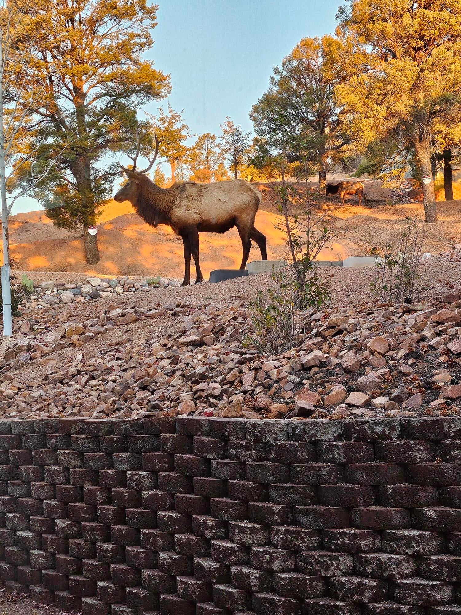 Payson, Arizona, 85541, United States, 3 Bedrooms Bedrooms, ,Residential,For Sale,1729248