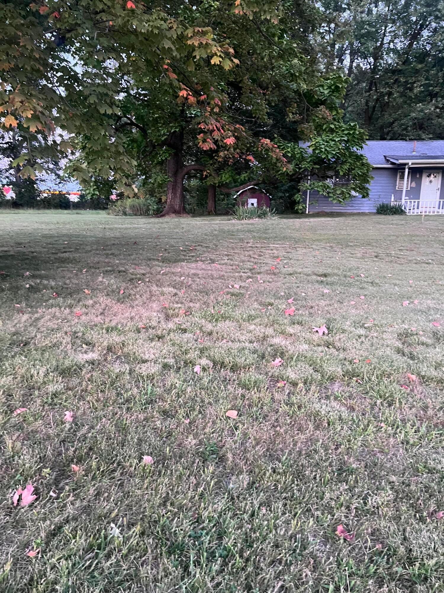 Etna, Ohio, 43062, United States, 3 Bedrooms Bedrooms, ,2 BathroomsBathrooms,Residential,For Sale,1947965