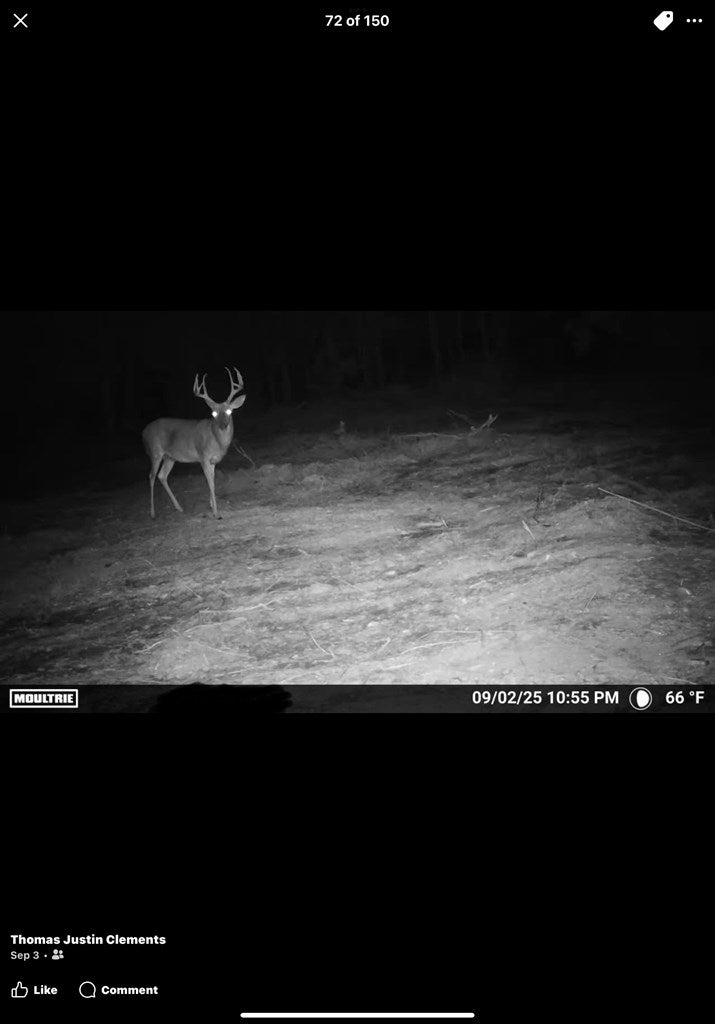 Abbeville, Georgia, 31001, United States, ,Land,For Sale,1975130