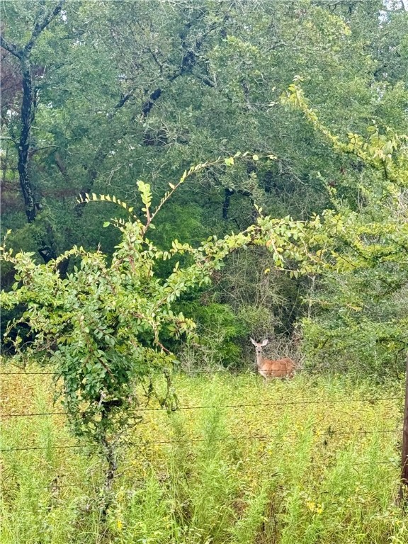 College Station, Texas, 77845, United States, 4 Bedrooms Bedrooms, ,3 BathroomsBathrooms,Residential,For Sale,1976837
