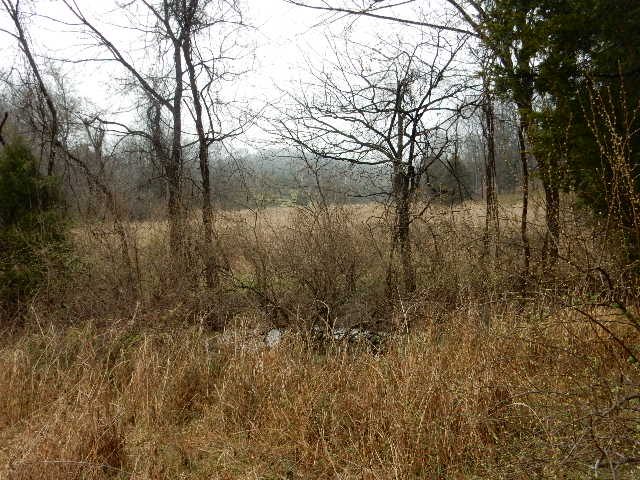 Clermont, Kentucky, 40110, United States, ,Land,For Sale,1980542