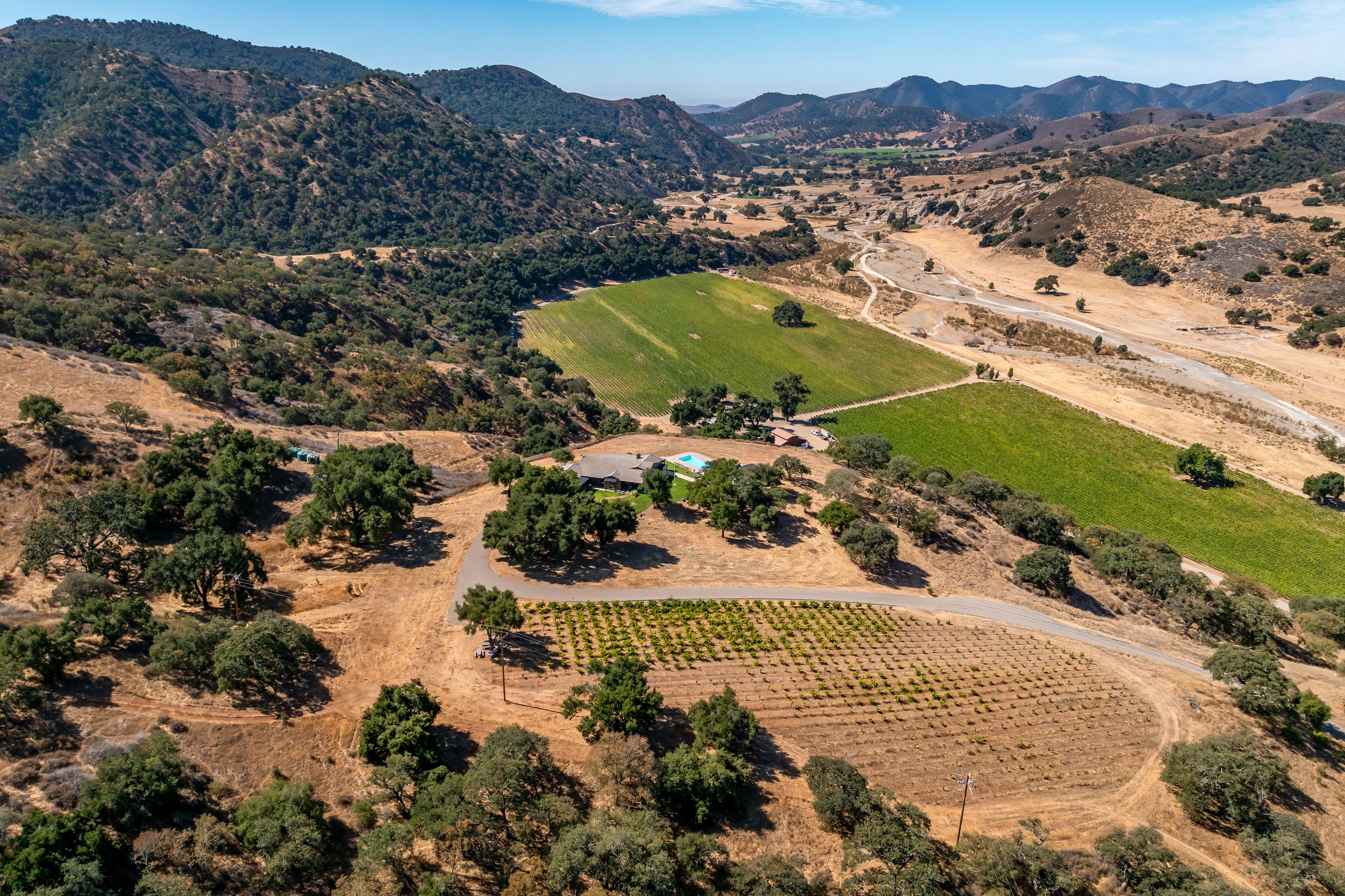  Extraordinary Vineyard Estate - 物件實景