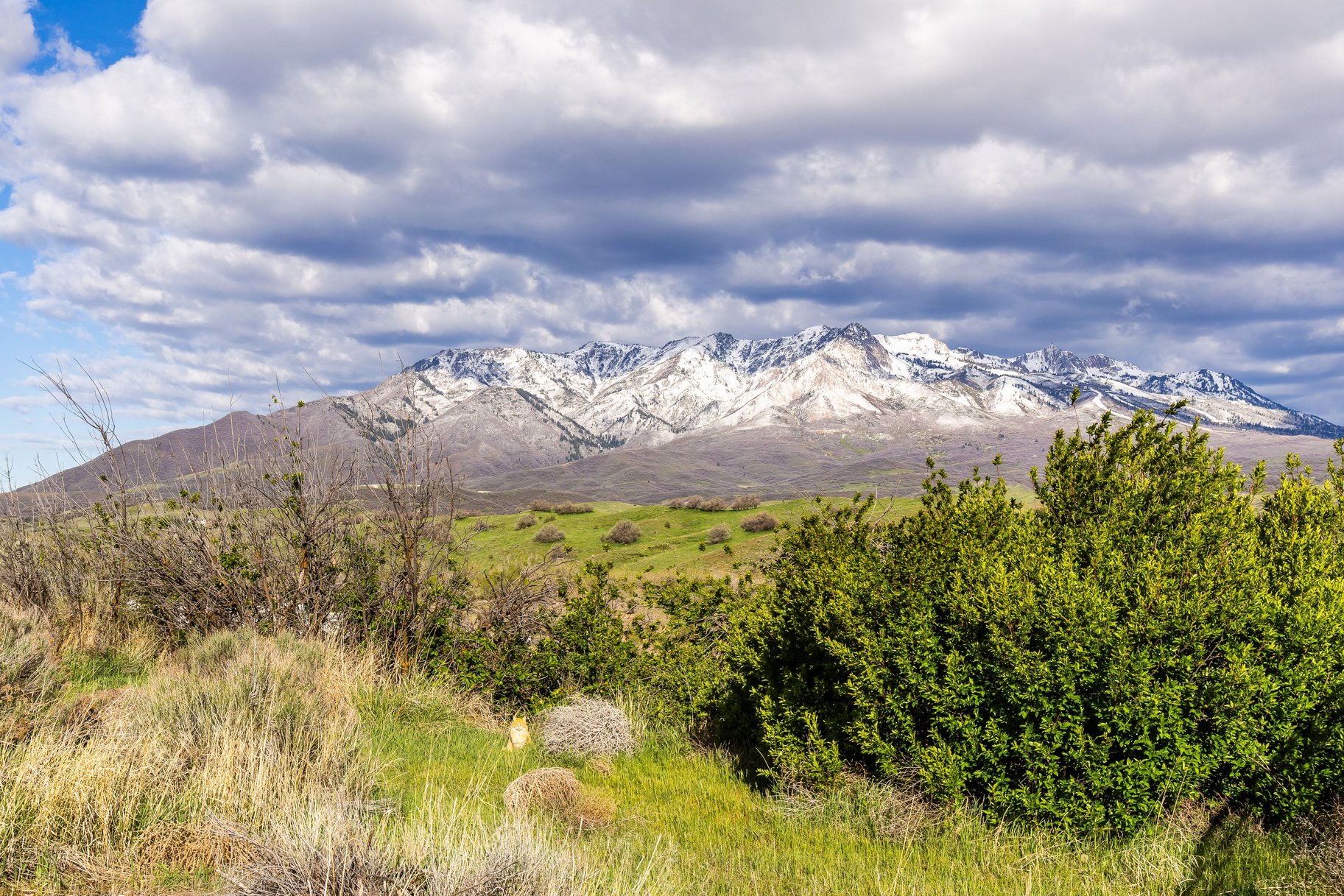  .88 Acre Lot in Mtn. Green with Unobstructed Snowbasin Views - 物件實景