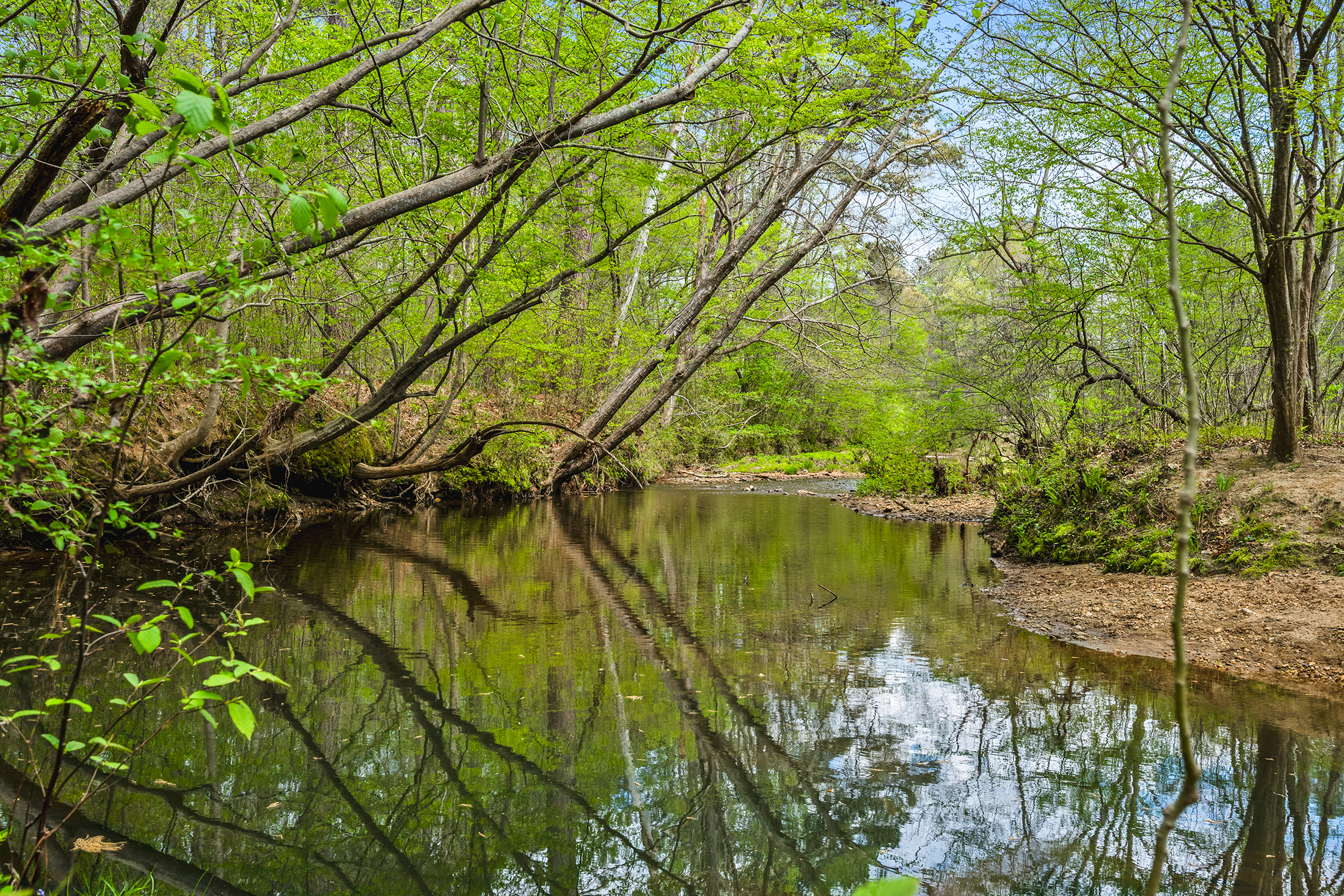  Cozy and Charming Brick Traditional in Acworth’s Desirable Charleston Place - 物件實景